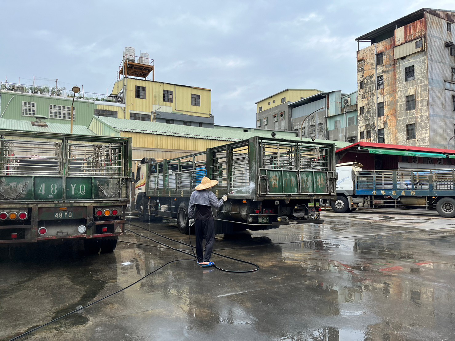肉品市場運豬車輛清消作業。