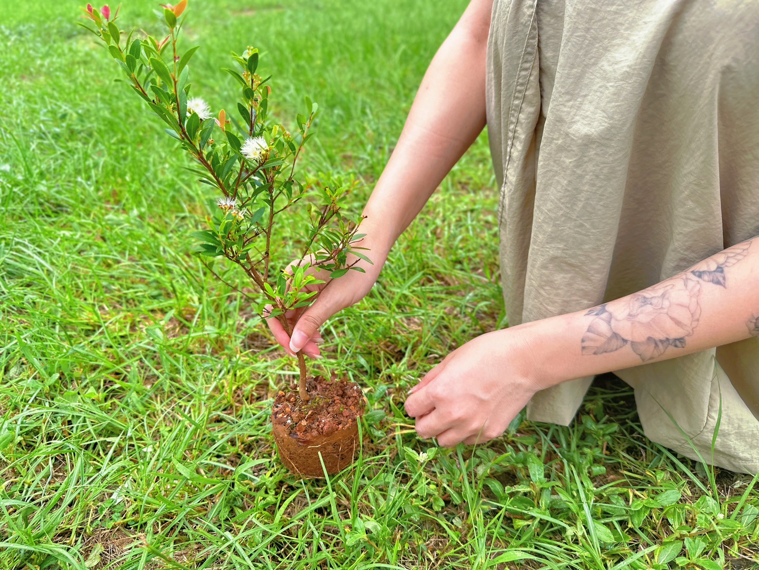  新北市攜手北台七縣市持續推動「為地球種下一棵樹&mdash;百萬人種百萬樹」