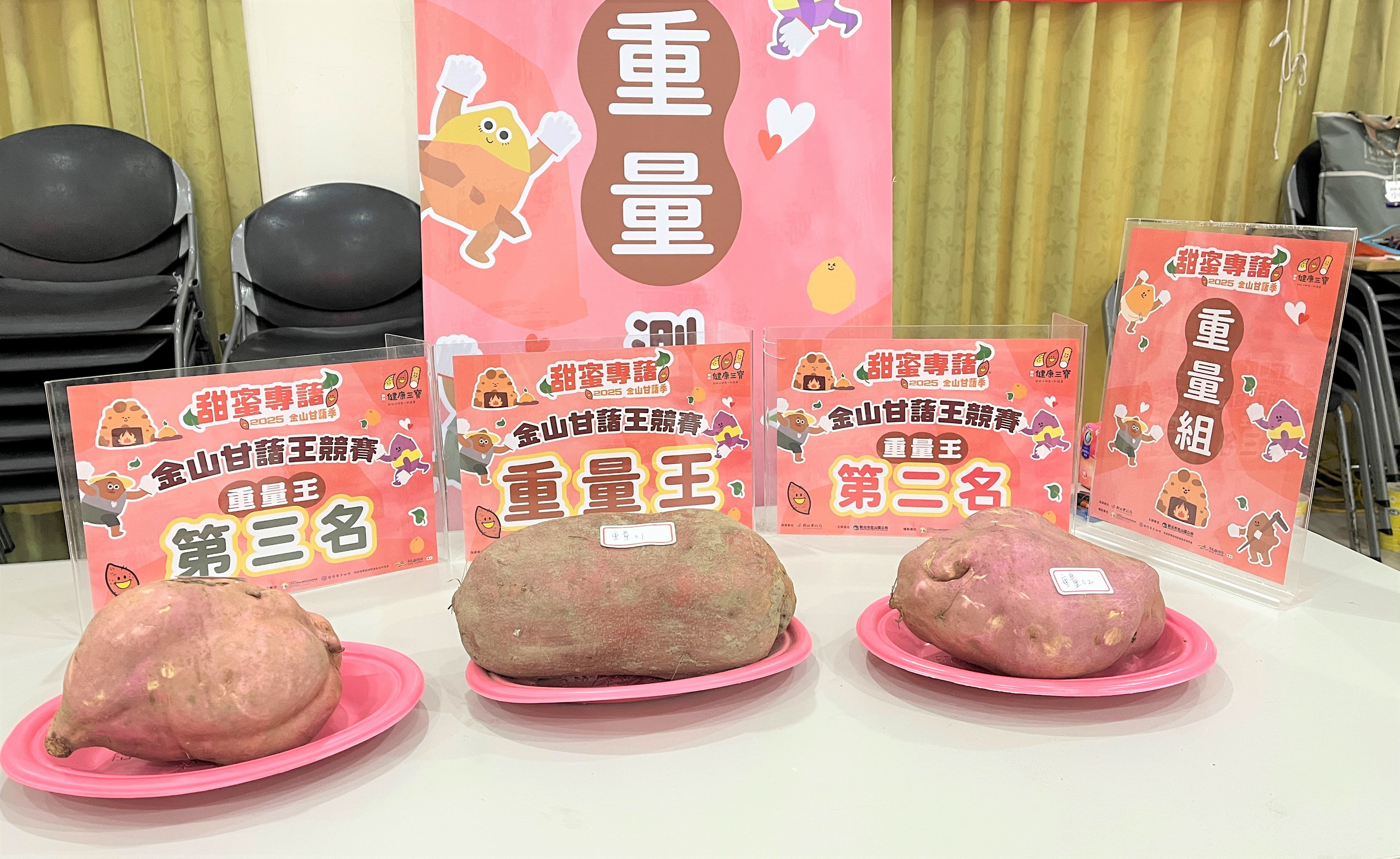 第十屆金山甘藷重量王由許陳月女以1993公克的重量奪得冠軍！