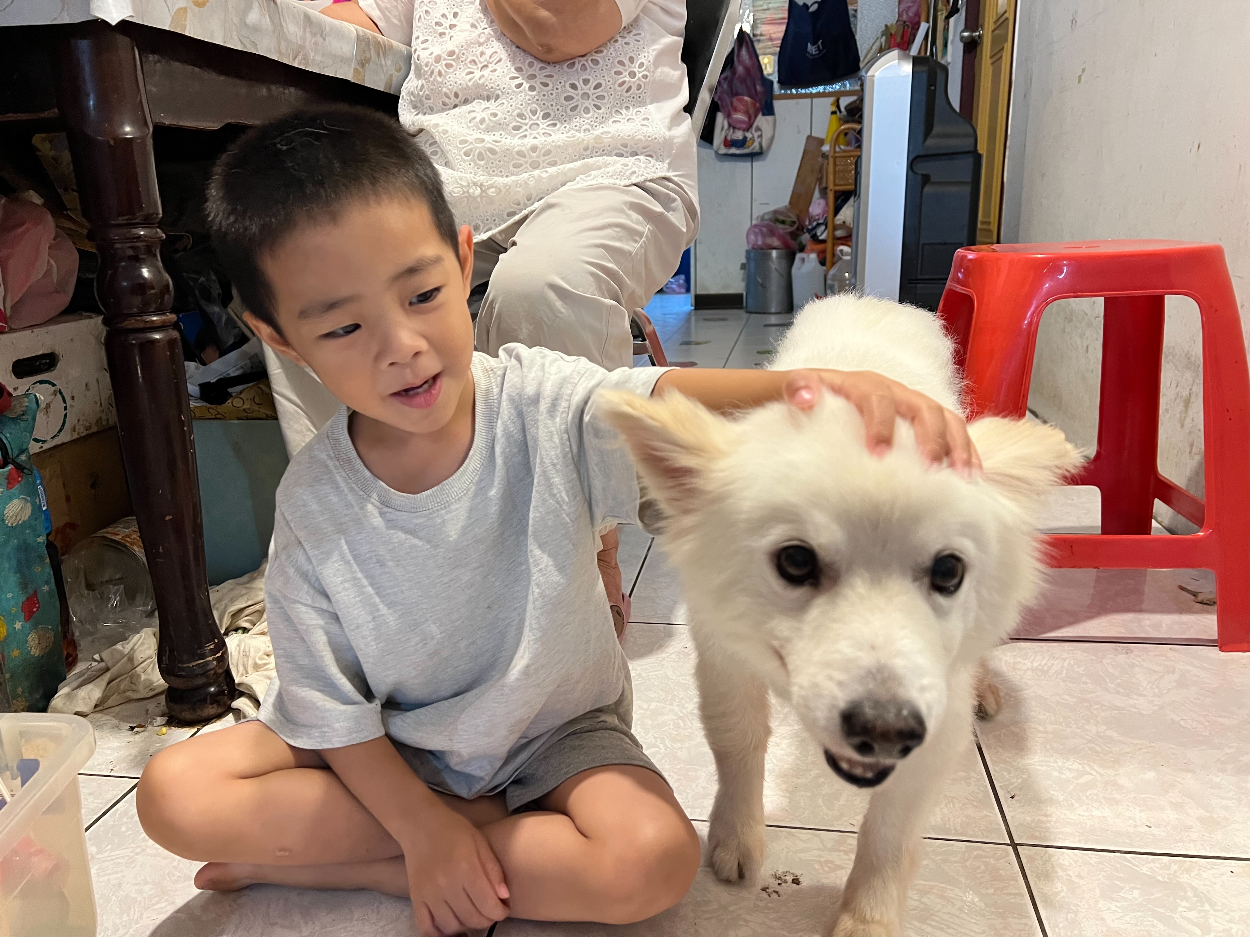 乖巧阿吉能夠陪伴家人小孩讀書和快樂玩耍。