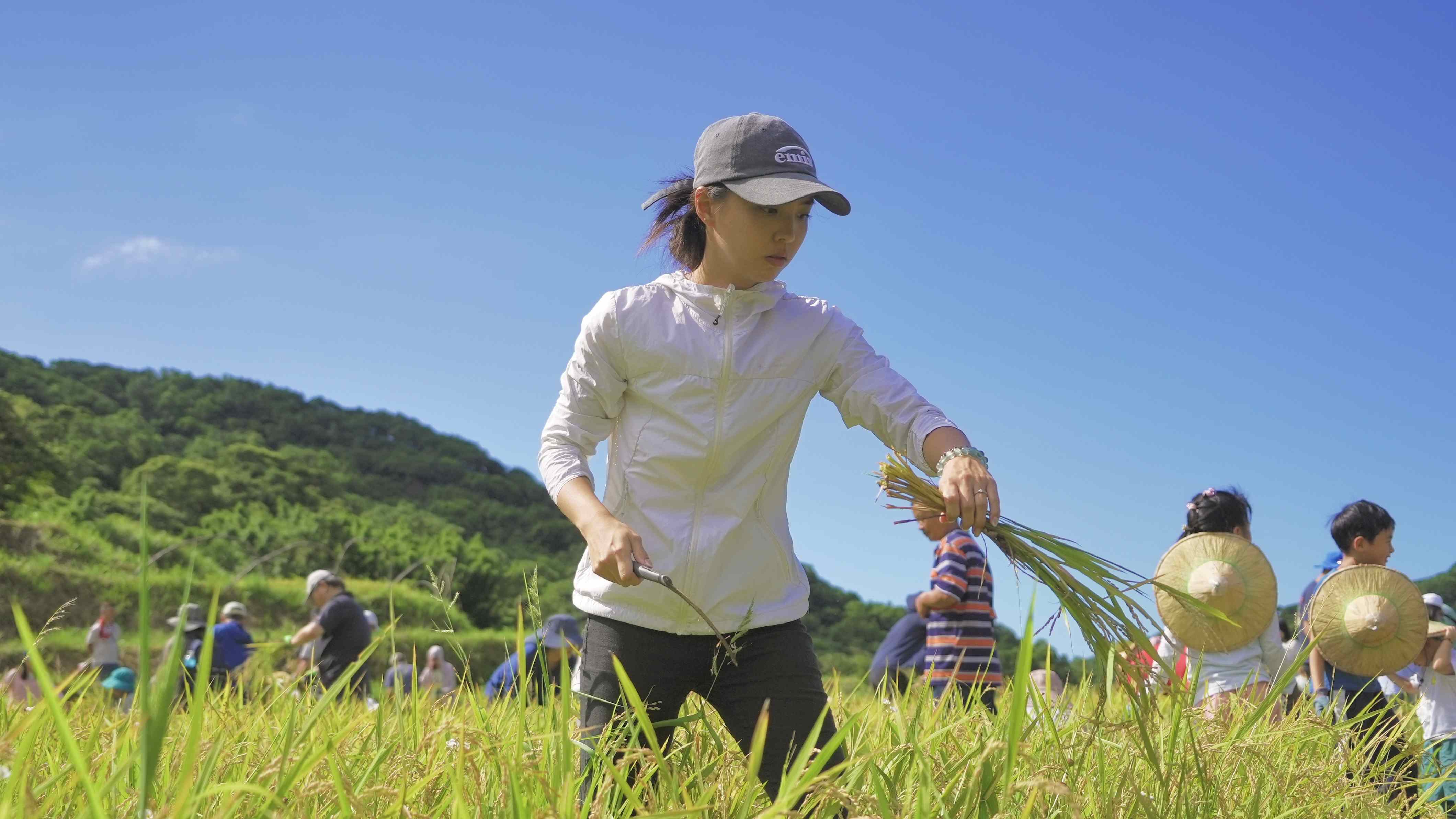 新北青農陳韻竹於石門區經營「出磺口農場」