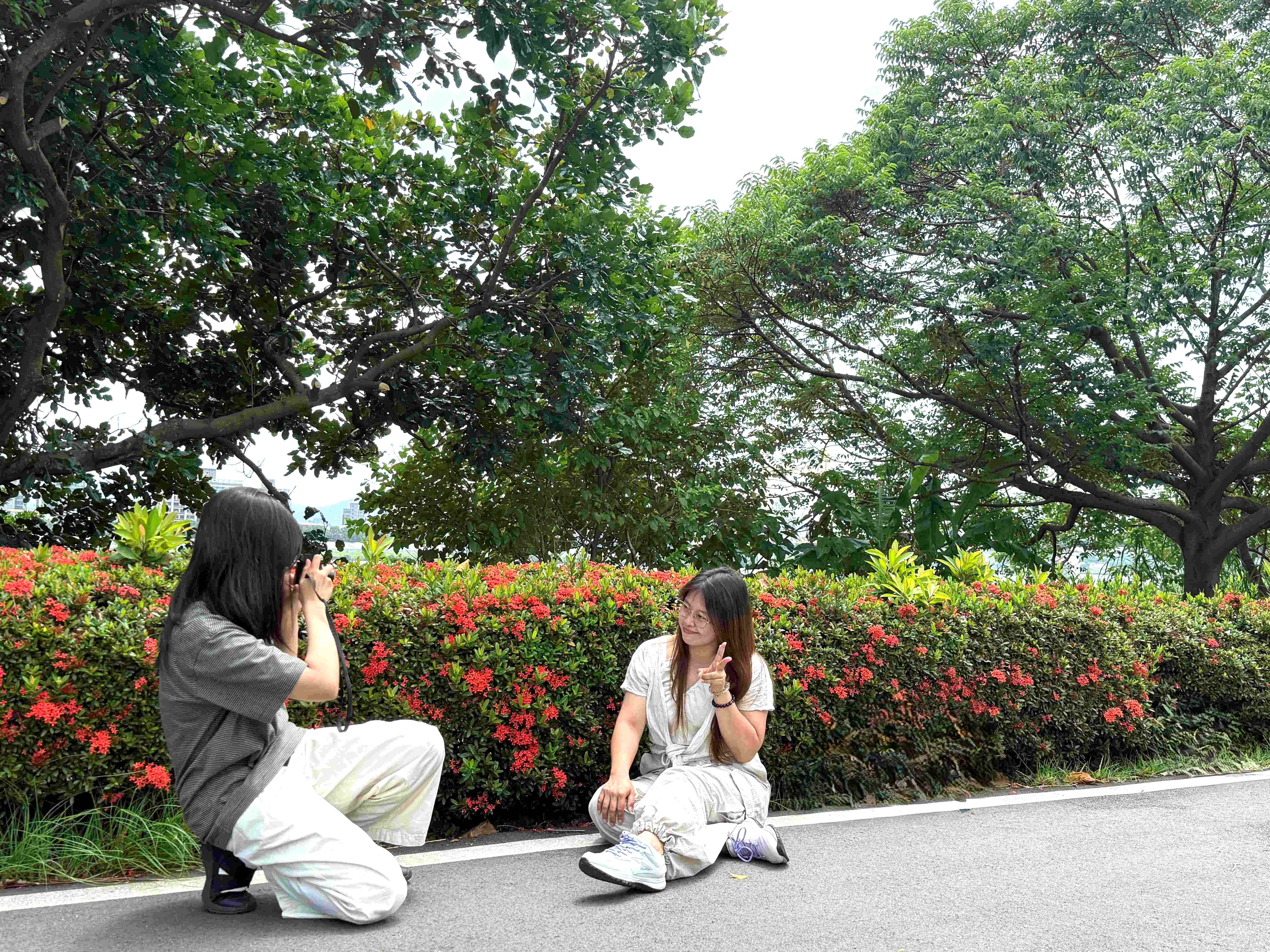  火紅花海盛開成夏日限定打卡點