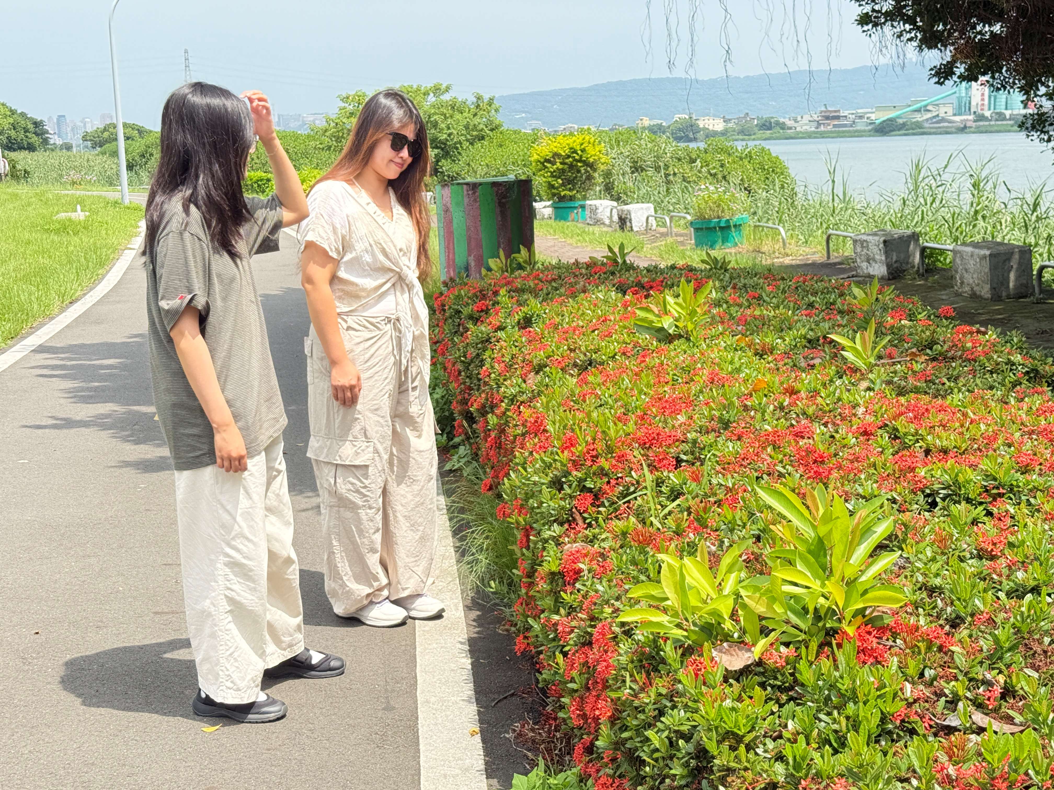  盛夏花海映美好心情