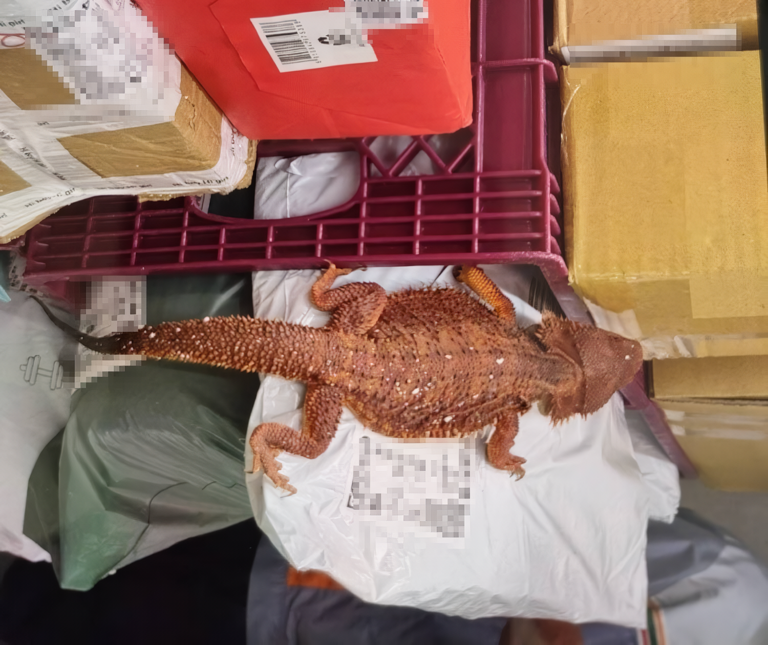  人員到場所見畫面。