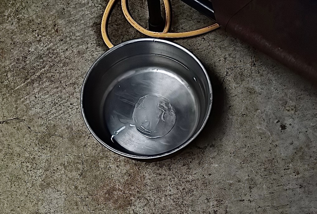  提供毛寶貝清涼飲用水。