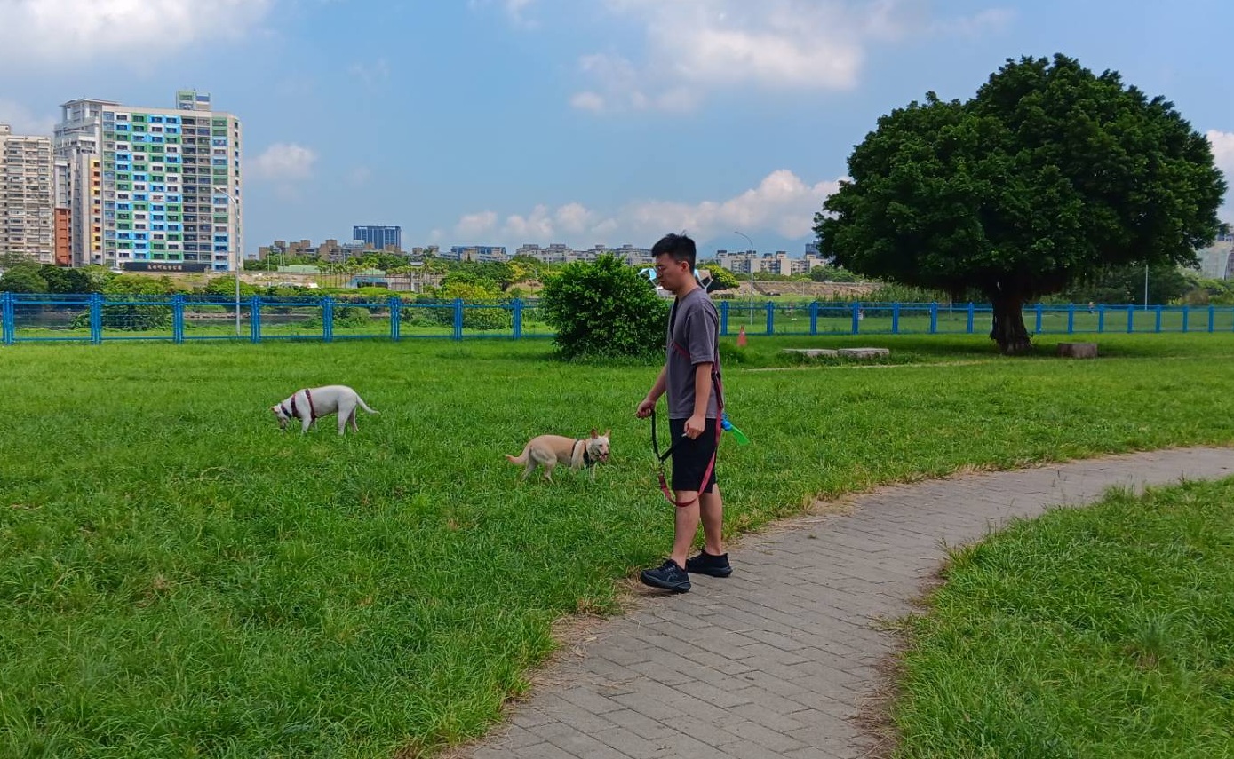  新北河濱寵物公園擁有廣大空間 可讓毛孩盡情奔跑