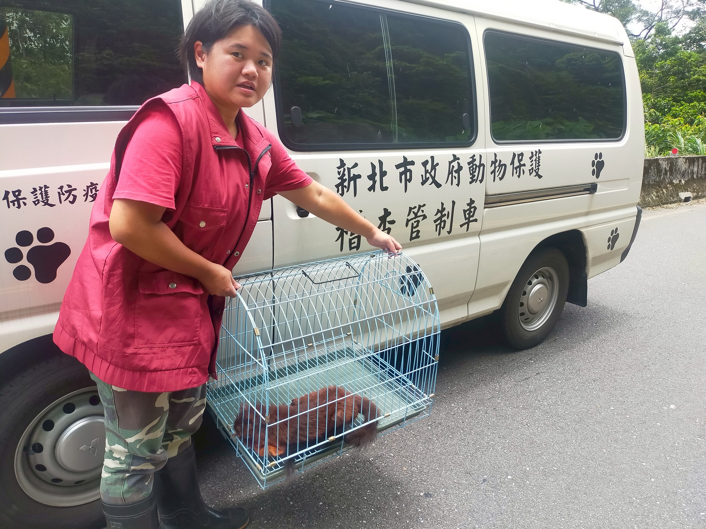  動保員將大赤鼯鼠裝籠載回動物之家安置。