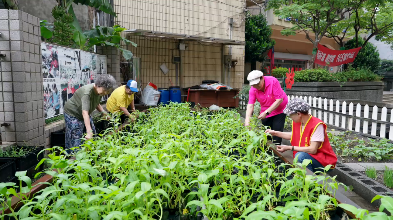 「環境綠美化組」特優獎得主羅春妹(右1)，投入社區綠美化，活用閒置空間打造可食地景
