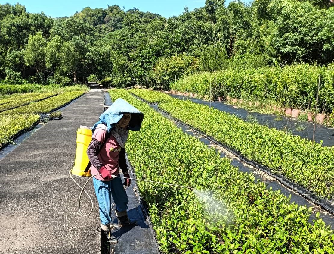每種苗木與植栽各具特色，針對不同植栽需求予以澆水、光照和施肥管理，是花卉及樹木健康生長與美麗綻放的關鍵