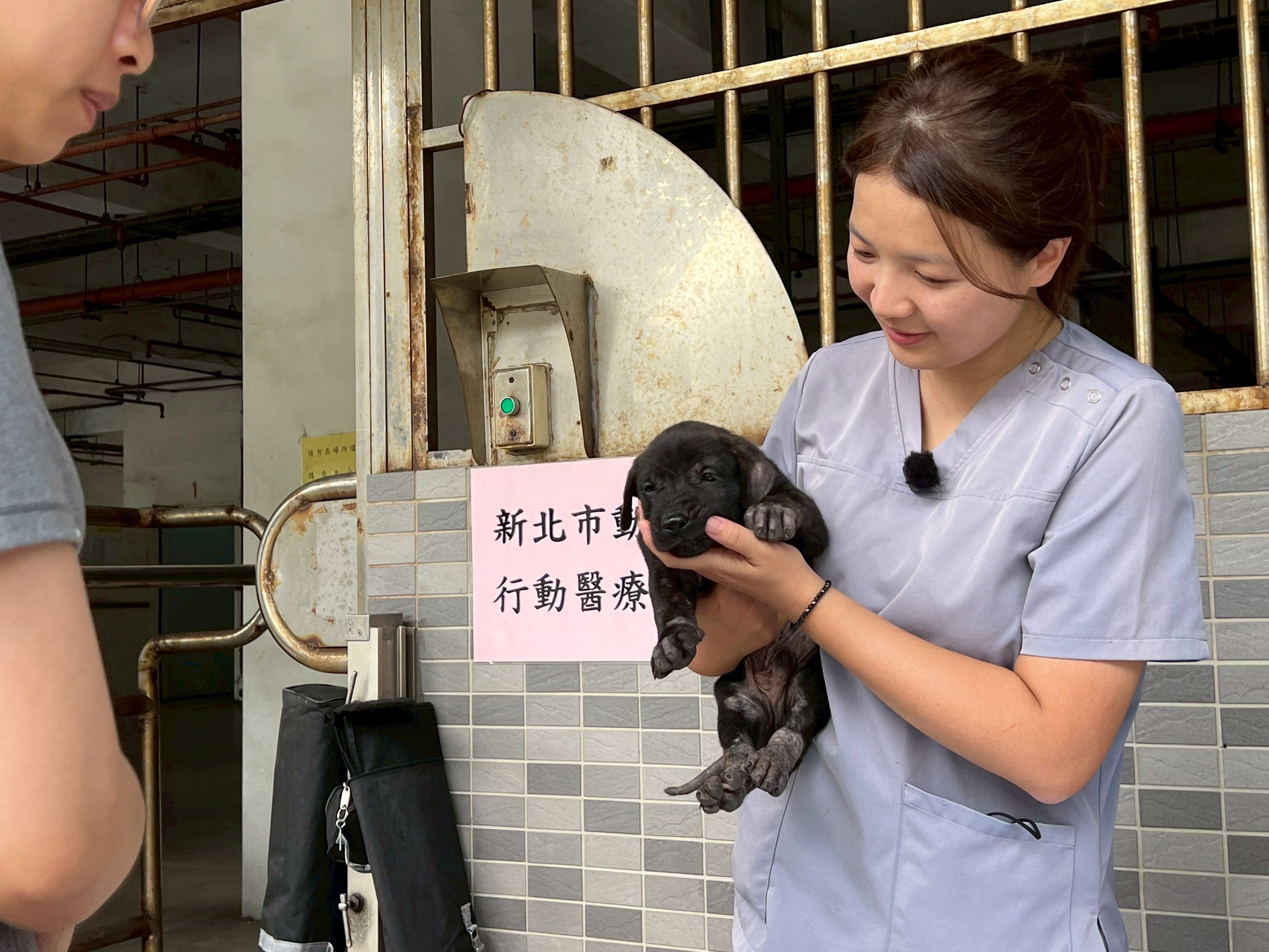  動物健康檢查第一步為基本理學檢查，初步評估動物的健康狀況。