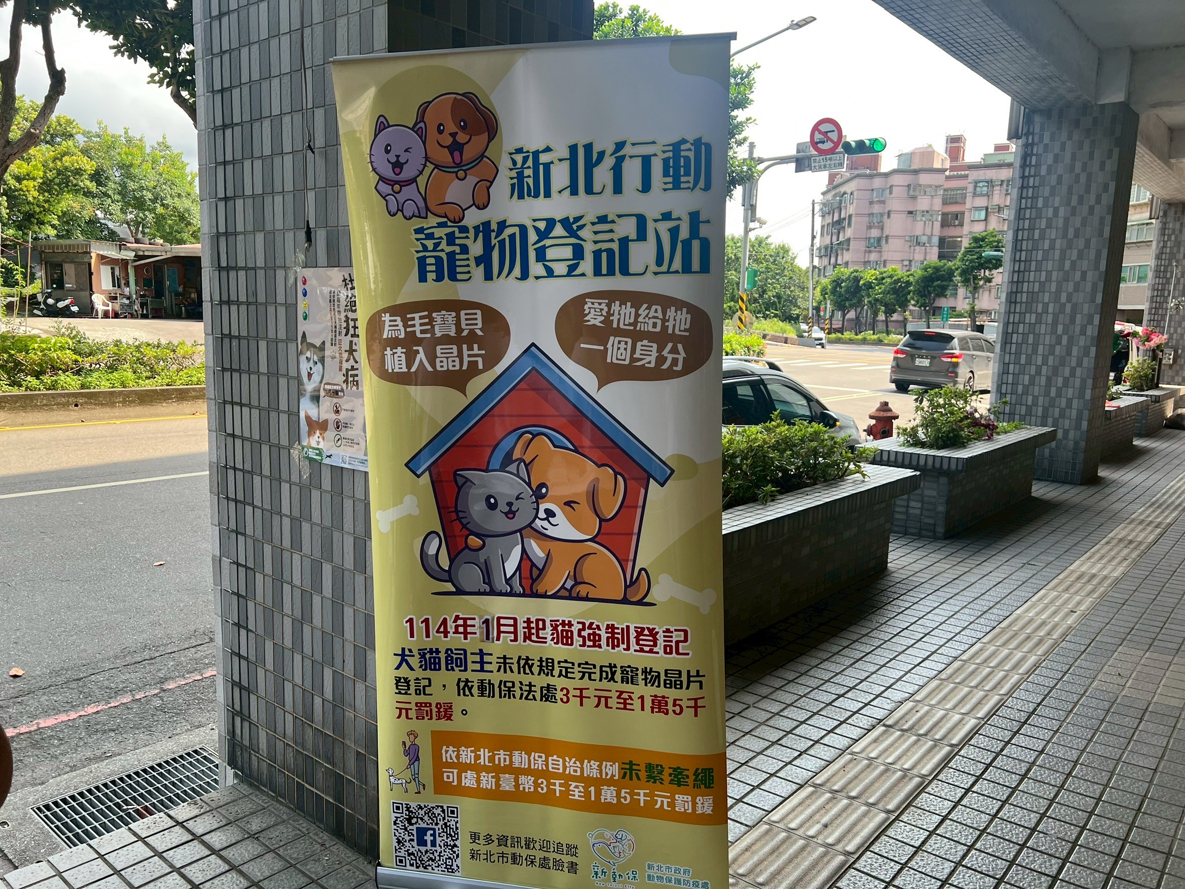  114年1月1日起，家貓已正式納入必須辦理登記的寵物中。