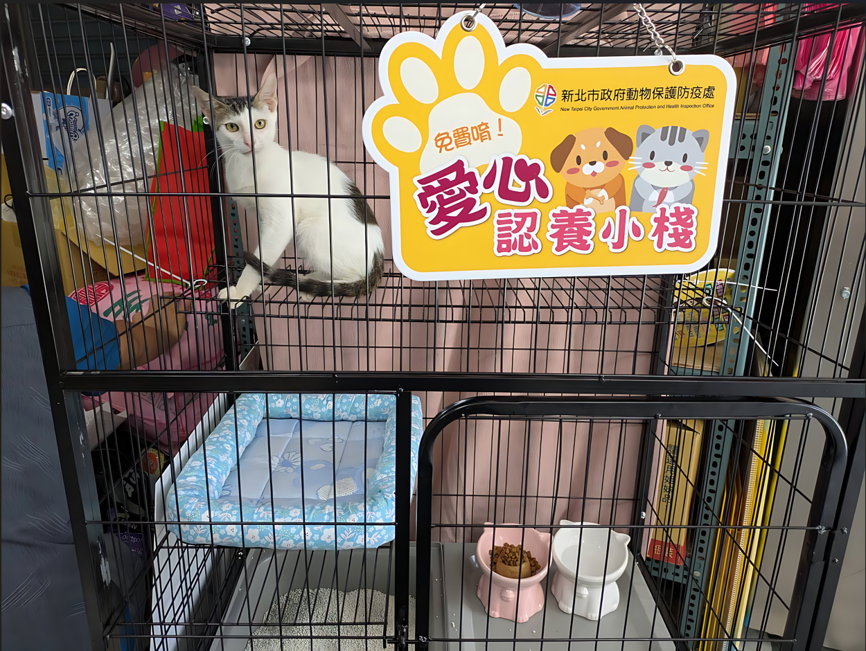  愛心認養小棧成棧
