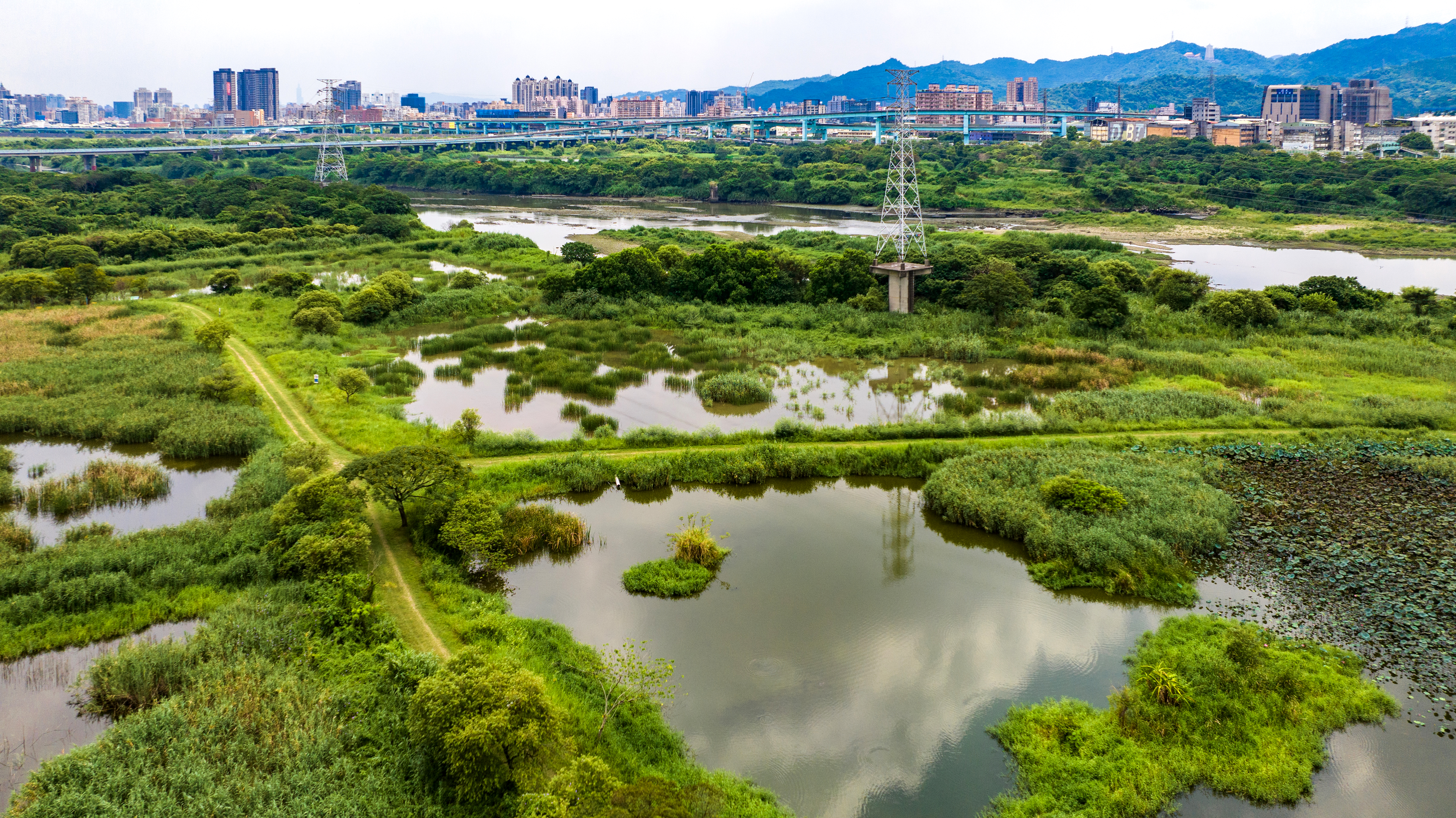  鹿角溪人工溼地作為新北市環境教育場所，提供專業濕地介紹以及周邊生態導覽，讓參加綠色旅遊的遊客也能與大自然共舞。
