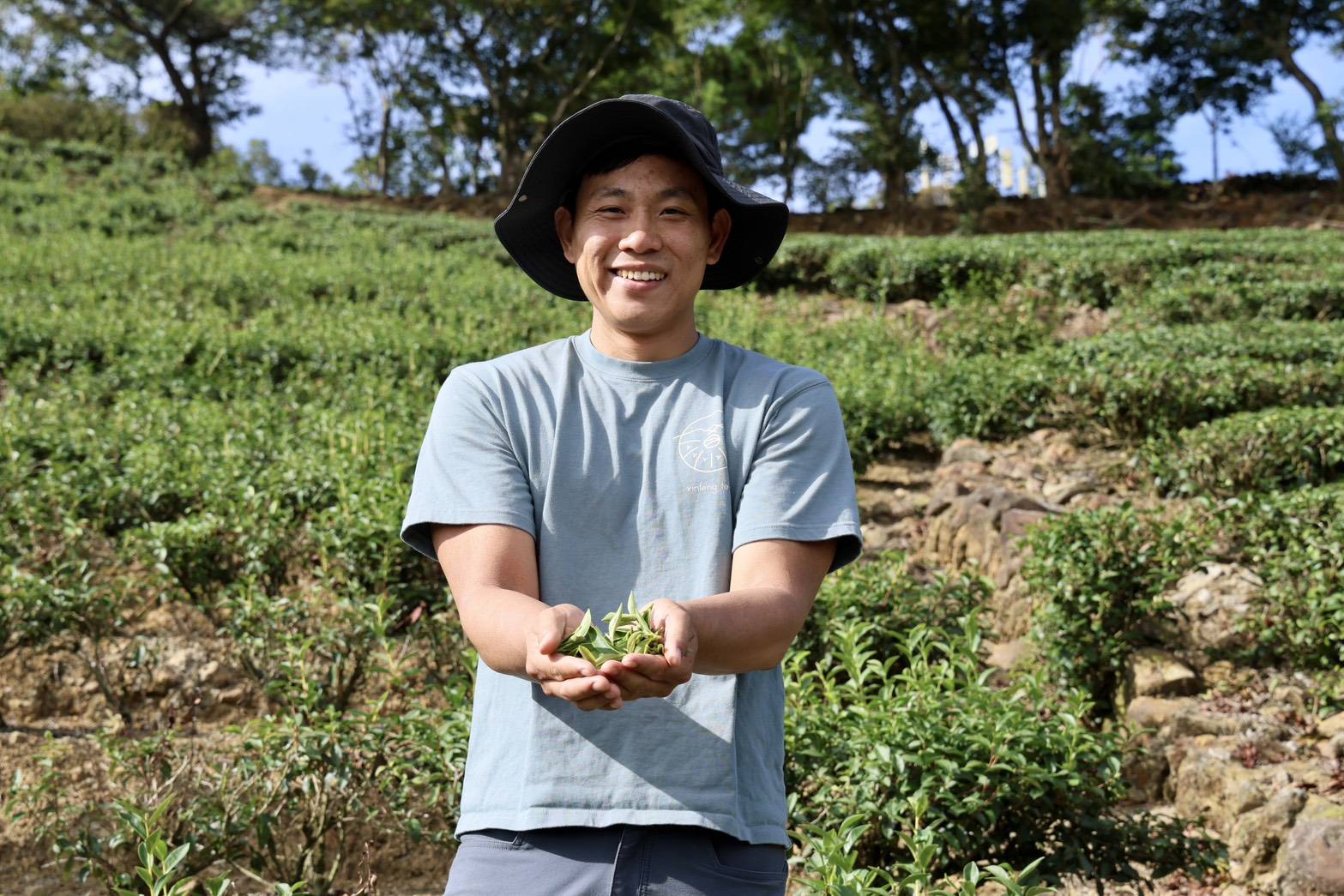  「有種茶」理事主席詹承得作為「新峯友茶」第五代主理人，帶領遊客於自家茶園親手採摘茶葉。