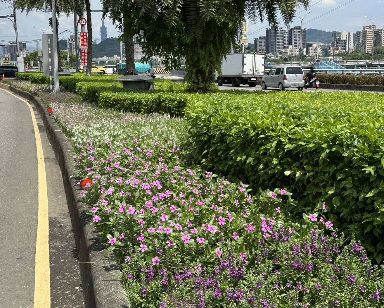 新北市景觀處作為打造新北綠城市的化妝師，增添豐富多樣的道路景緻