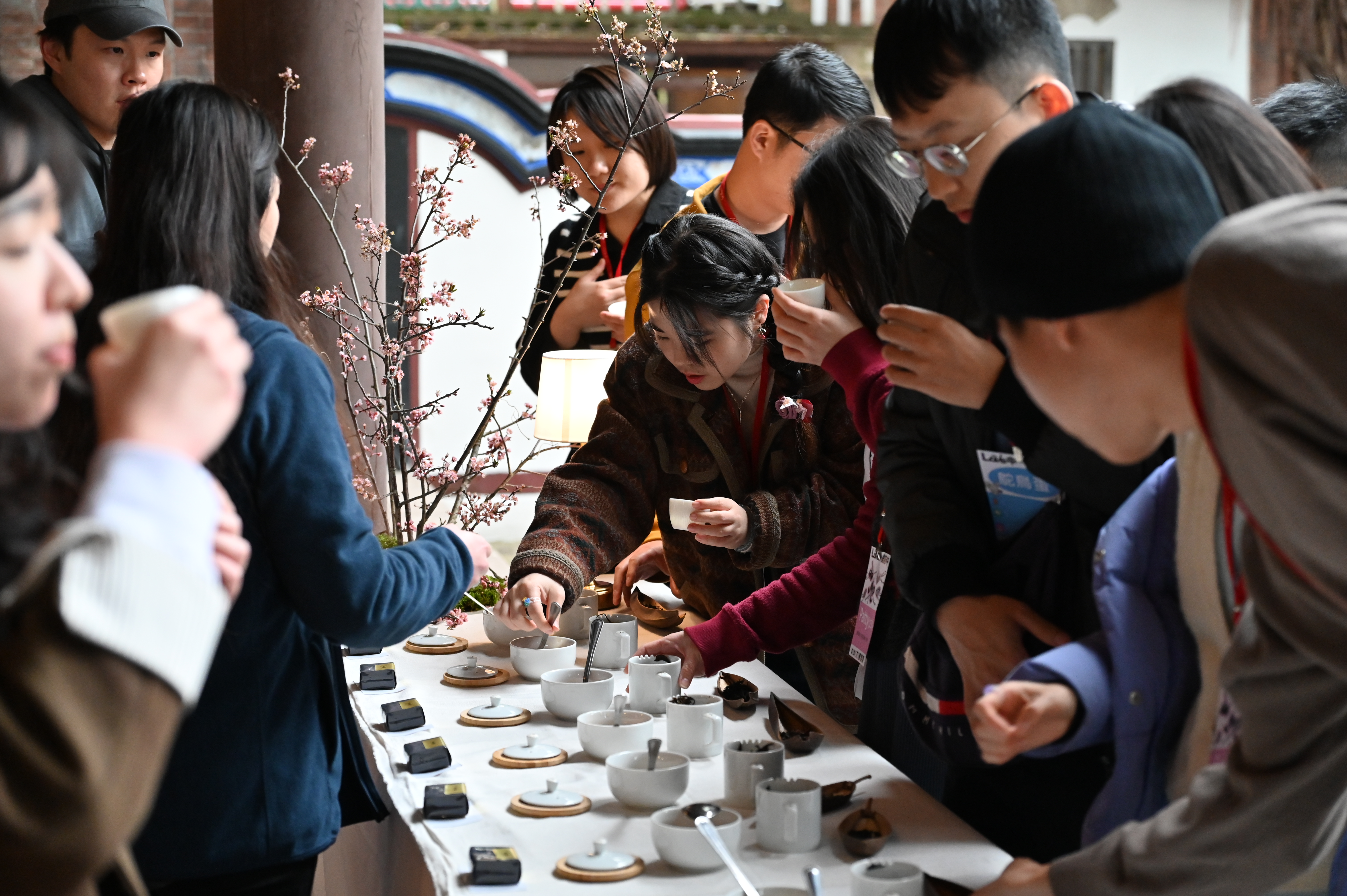 新北青年局「朋友++」活動，2月以品茗為主題，吸引民眾踴躍參與。
