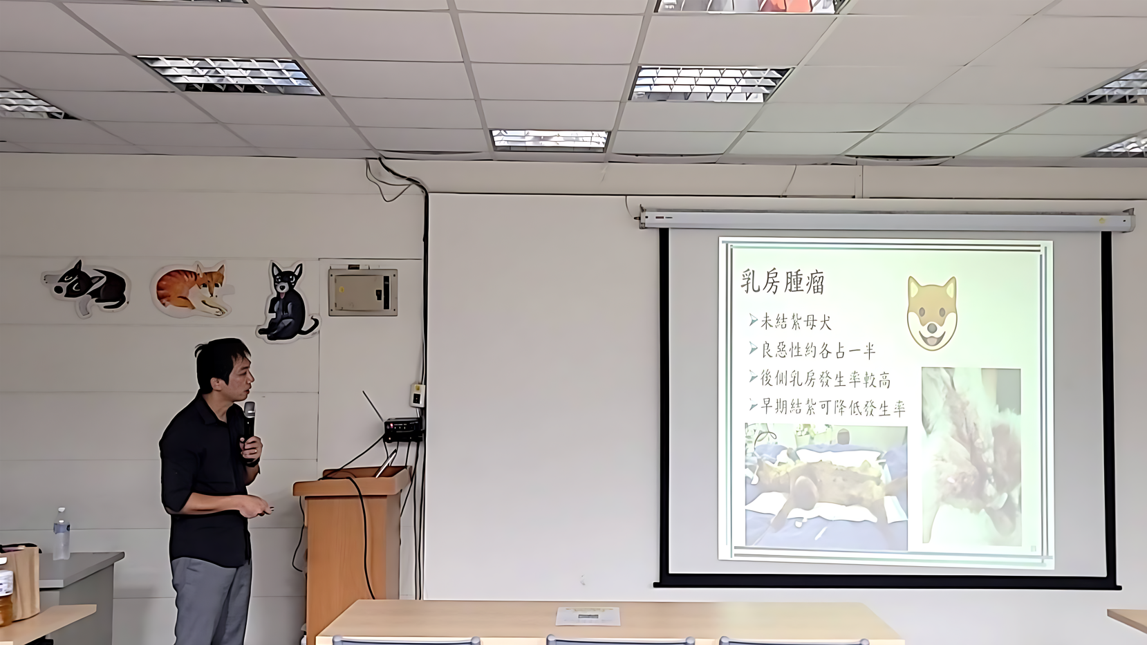  臺大獸醫學院王尚麟副教授介紹寵物疾病