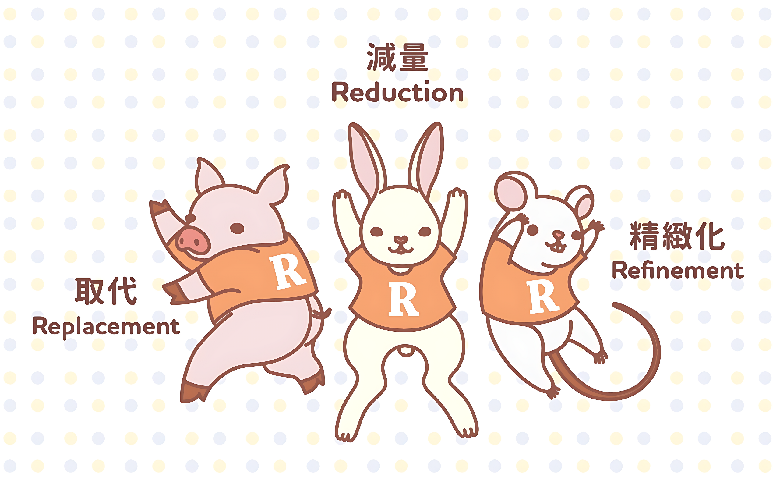  實驗方式朝3R方式設計，取代：用非動物方法替代實驗。減量：減少使用動物數量。精緻化：減輕動物痛苦