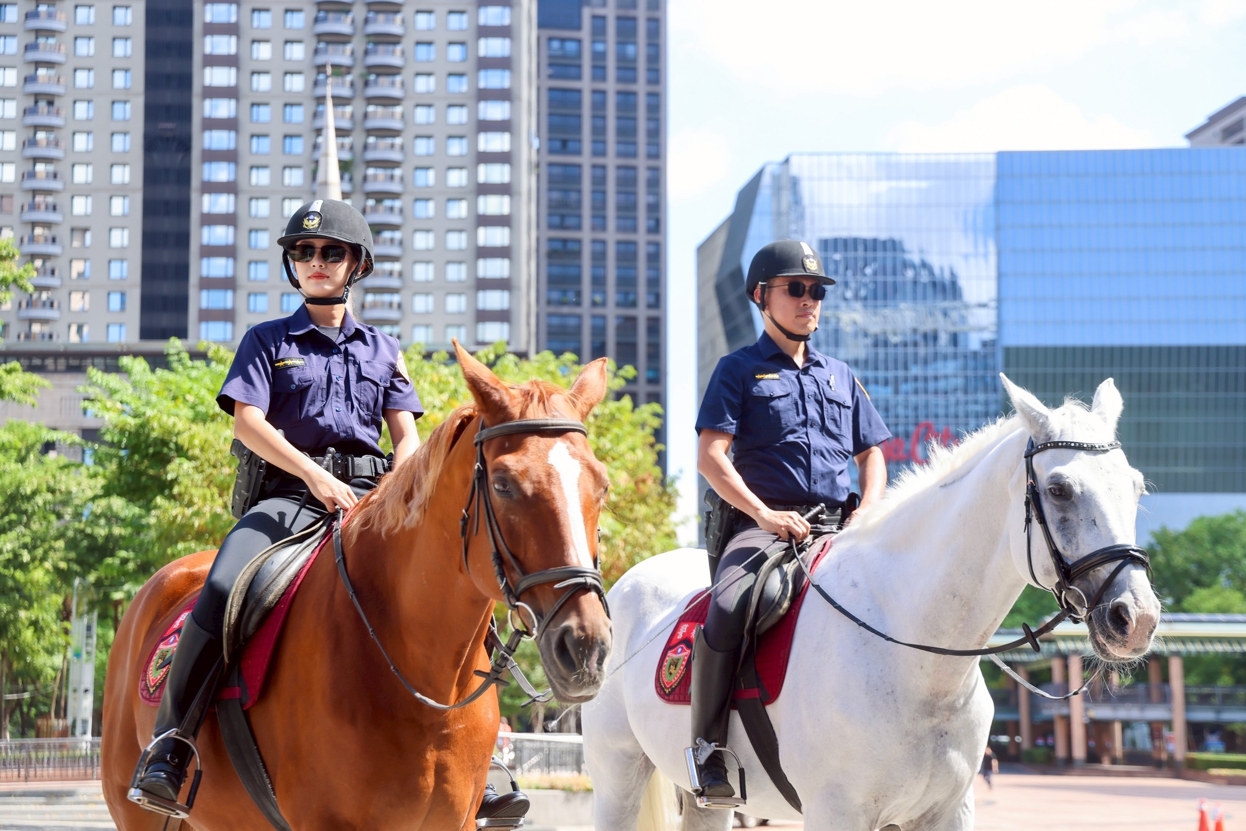 新北市政府警察局騎警隊將參加114年國慶日表演遊行，特別精選8匹駿馬與18位騎警同仁，擔任「英雄車隊」前導任務。