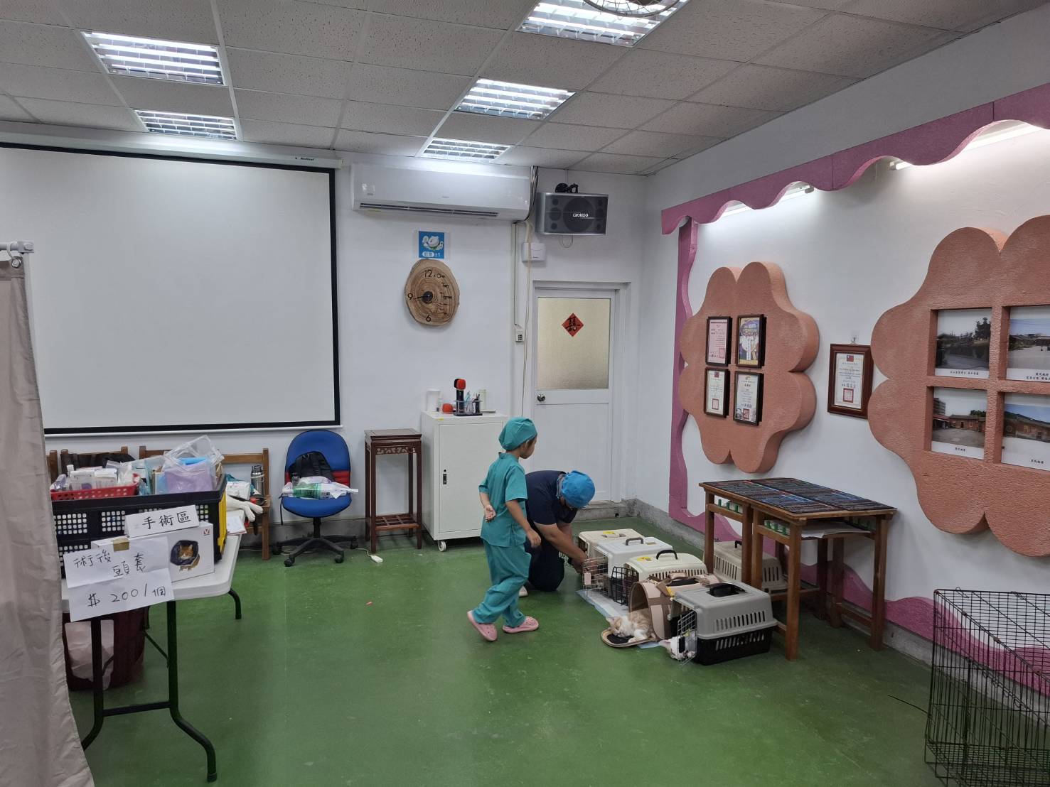 犬貓施打狂犬疫苗保障人畜安全