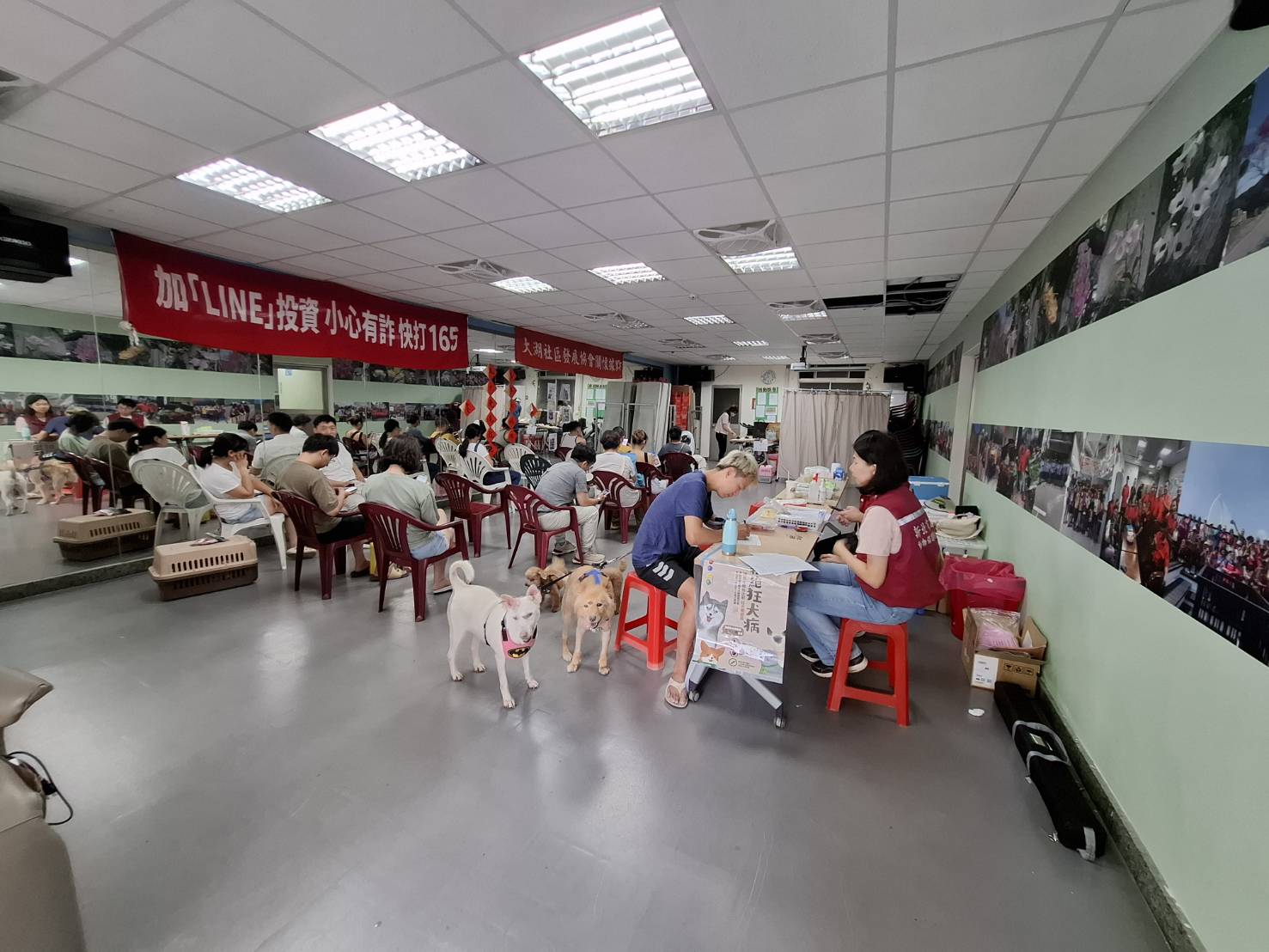 飼主攜帶犬貓前來接種疫苗、晶片及絕育