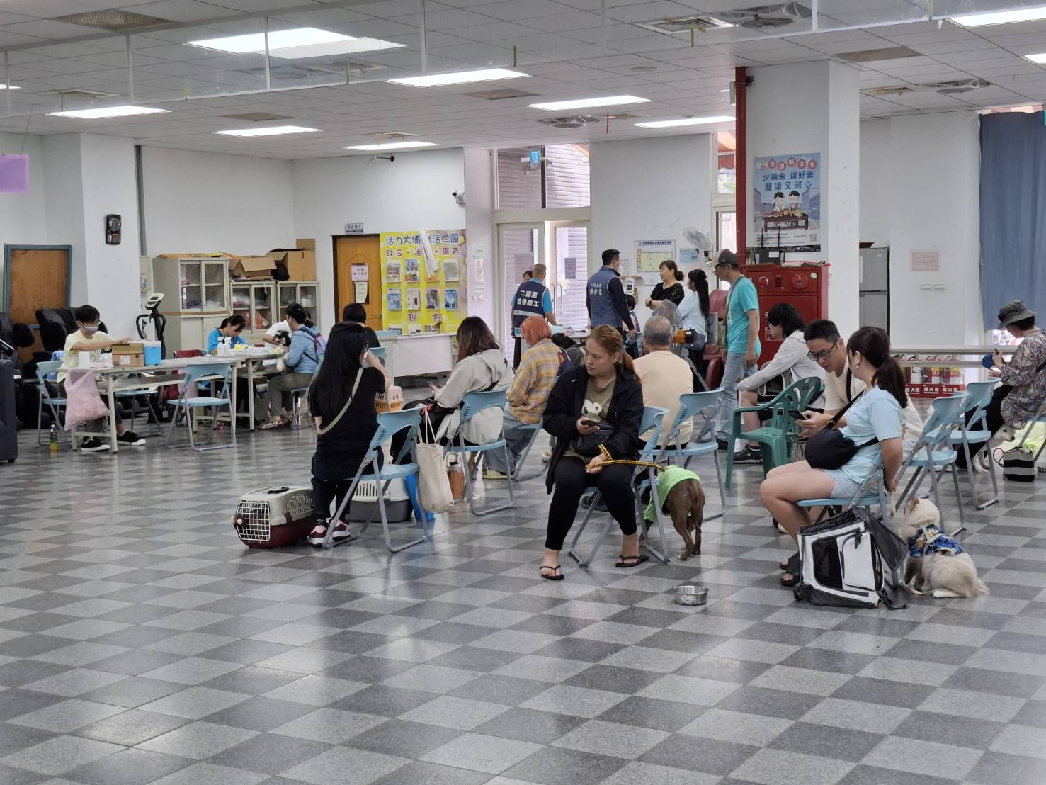  犬貓絕育是飼養基本責任