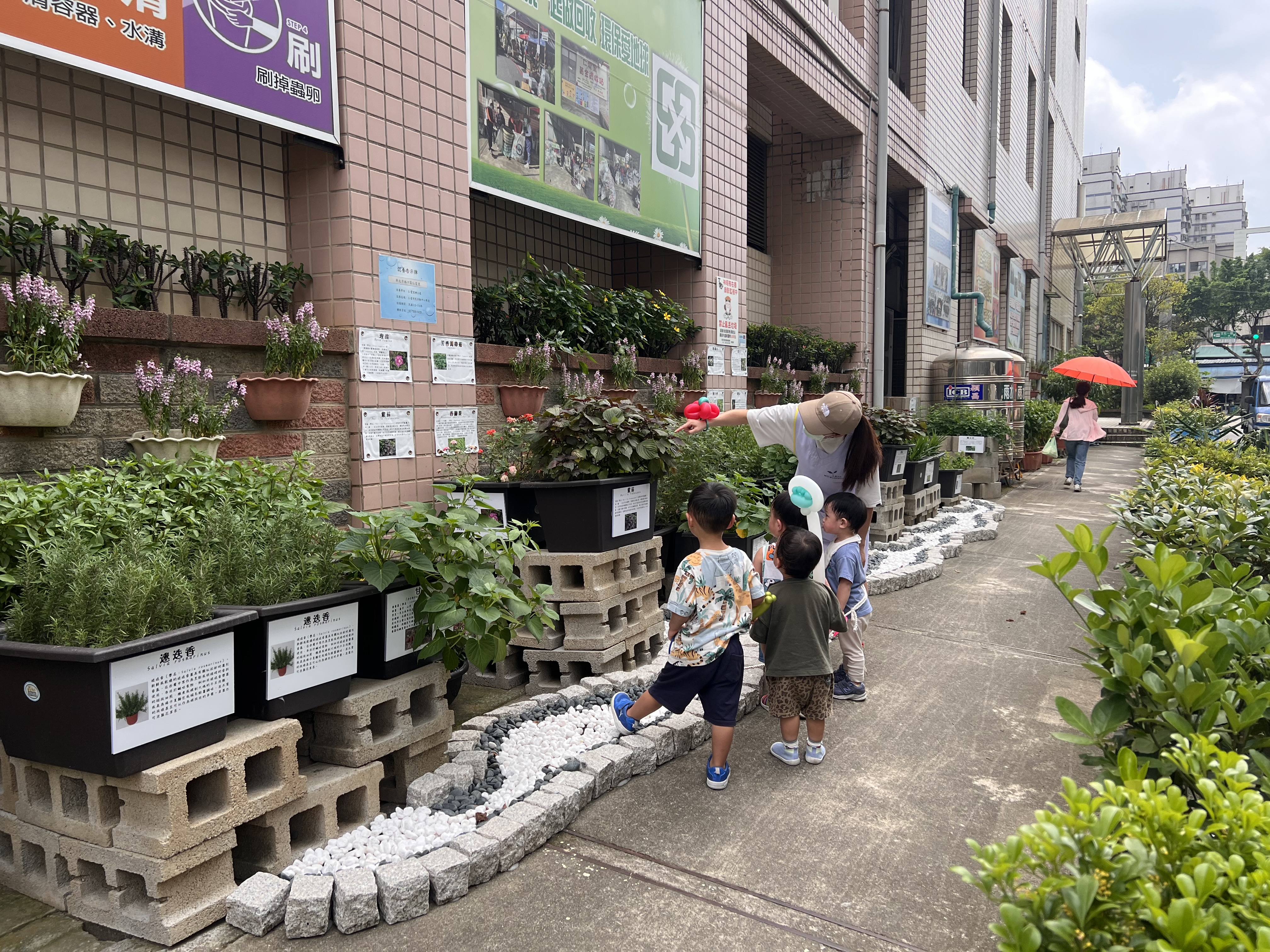 林口區仁愛里社區種植多種可食性植物，非常適合小朋友一同認識植物，彷彿是都市裡的大自然教室