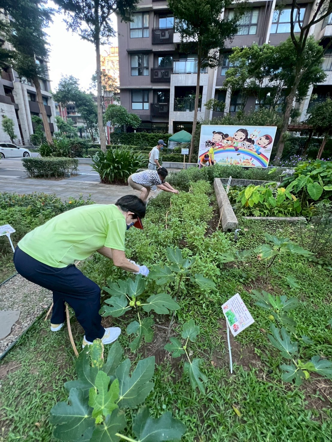 汐止區金龍里可食地景的營造不僅加深社區鄰里交流互動，也營造出全新的休憩空間