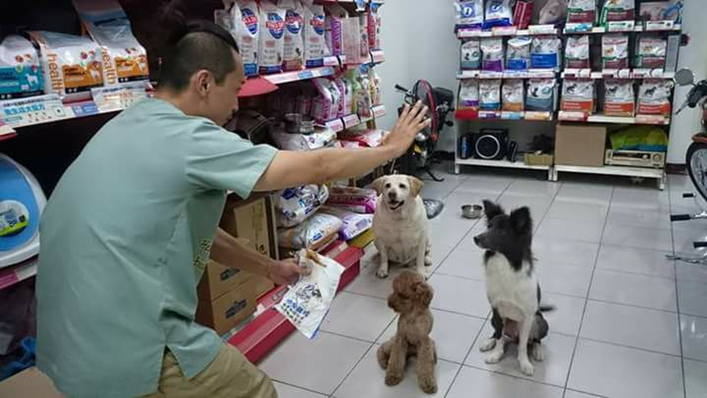 自家土地的小天地，小靜與其他毛寶貝陪伴客人，共享愜意時光