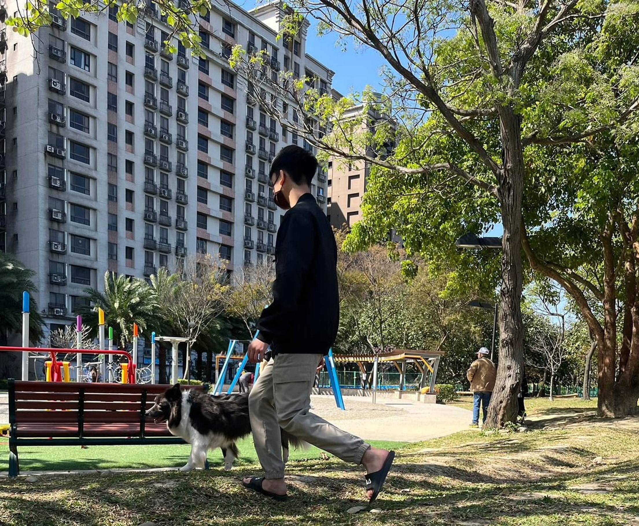  恢復健康後，還應適度散步與運動，與小主人一起享受每一天的陪伴時光