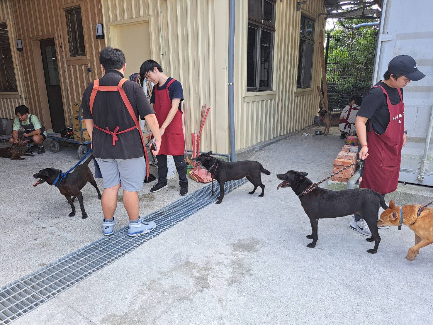 維持適當活動量，可避免肥胖及慢性疾病發生