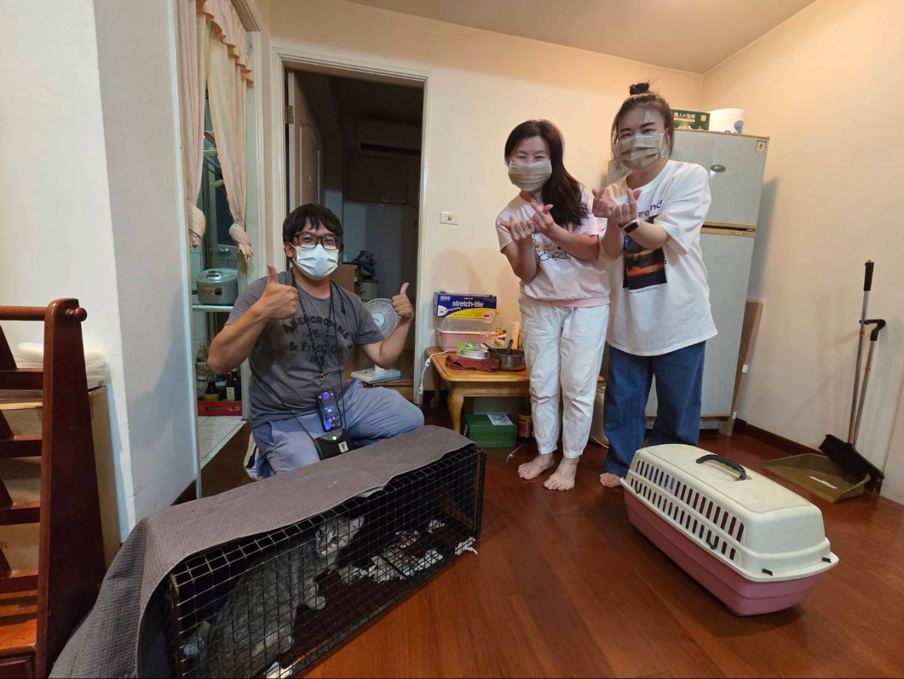 絕育貓隻回置