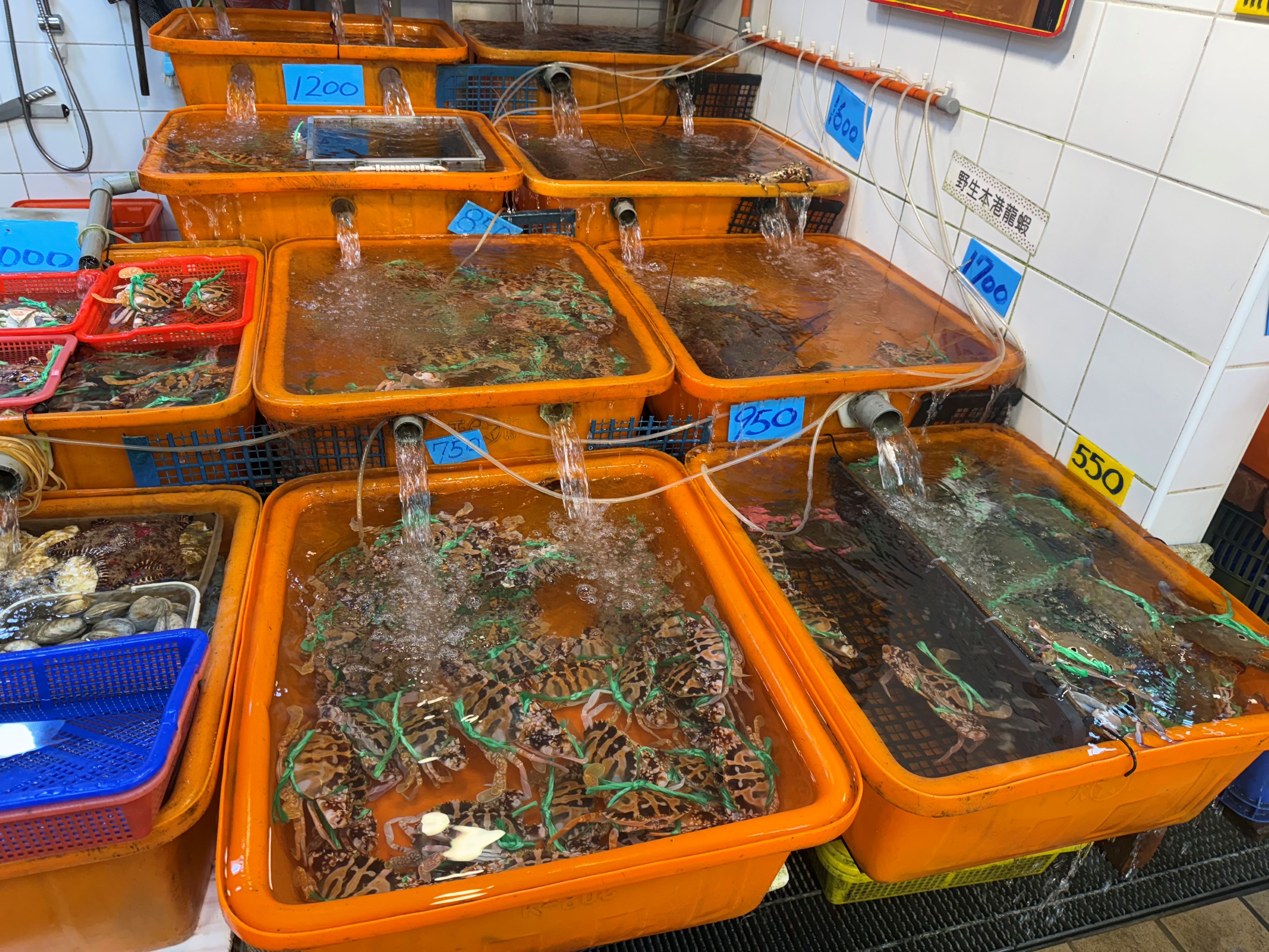 龜吼漁夫市集以販售活海鮮吸引饕客慕名而來
