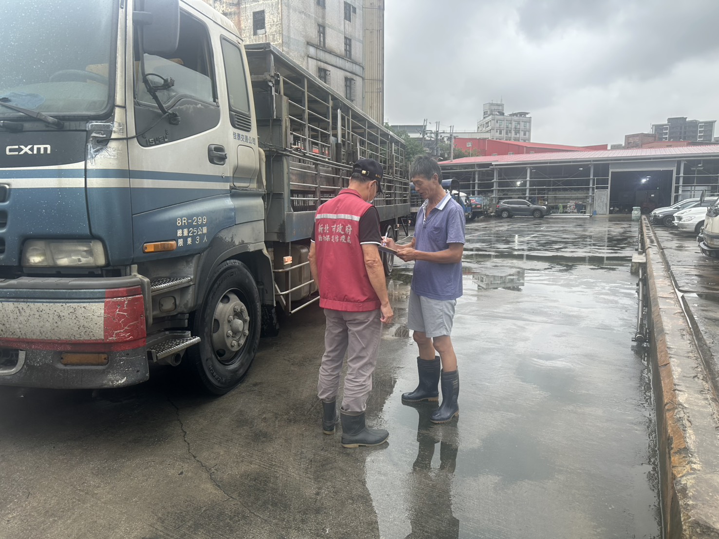  新北市政府非洲豬瘟災害應變中心針對屠宰場運豬車輛進行盤查及清消作業