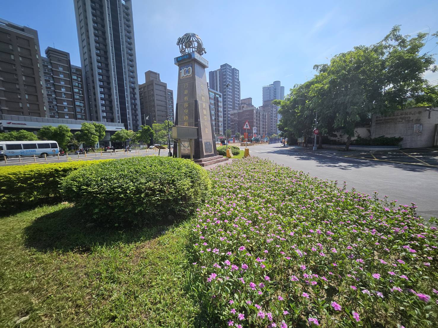 三重區三信路與集賢路口之槽化島種植之秀英花已形成灌木叢