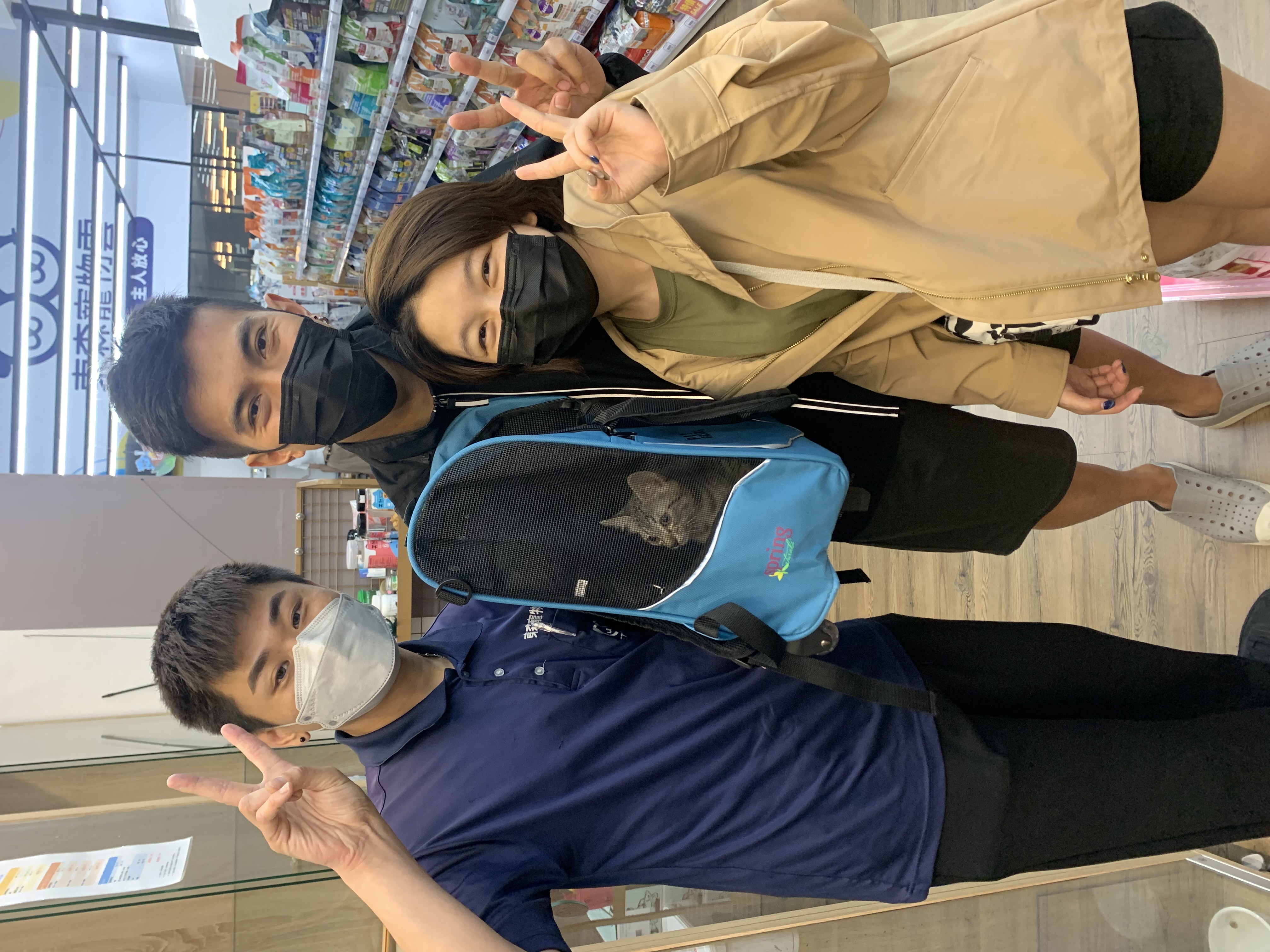 可愛的小虎斑在東森寵物雲認養小站找到家了