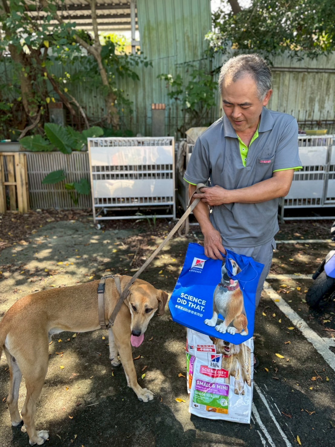  認養成犬貓即可獲得犬飼料、貓罐頭及精美提袋