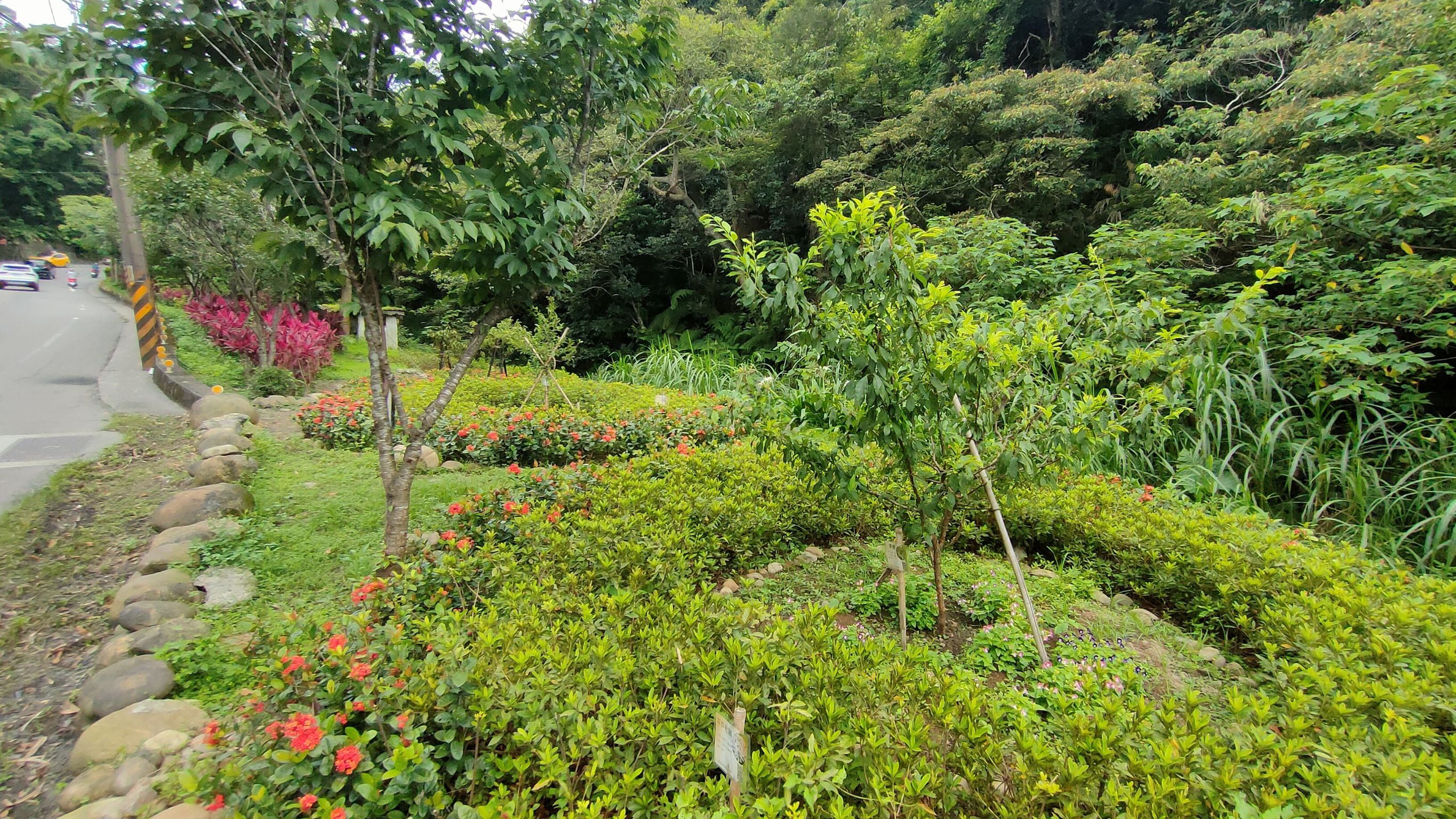 泰山區黎明里於泰林路就地取材改造園路，與溪溝自然生態結合，營造出綠意盎然的友善環境
