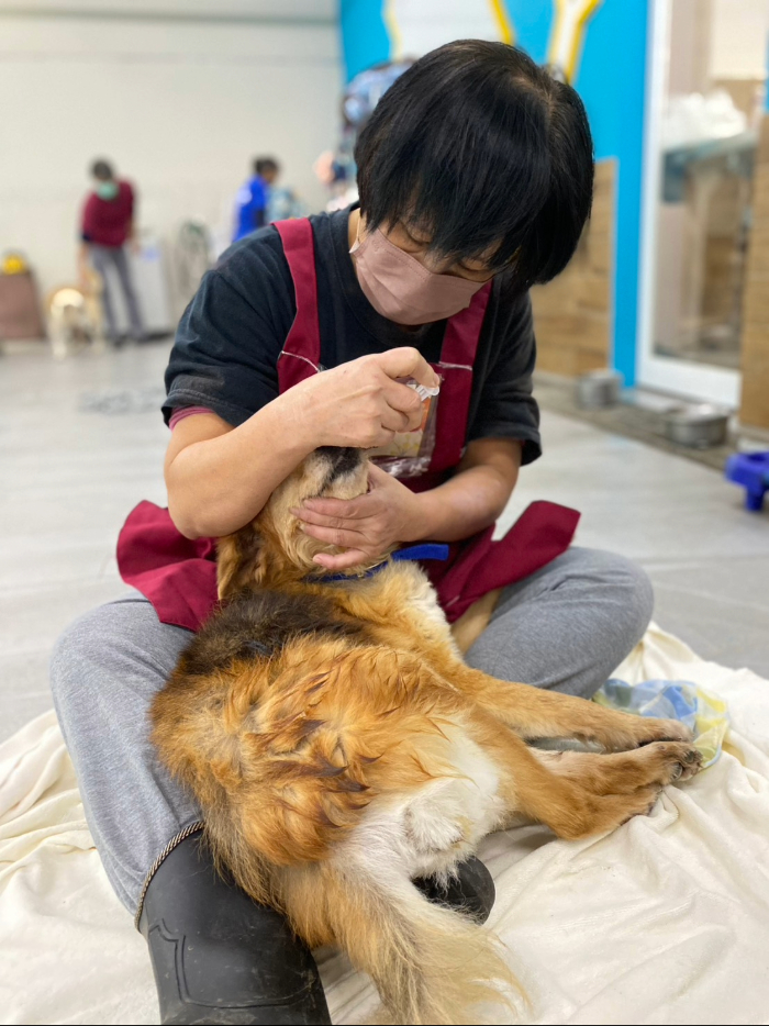  難以治癒動物進行人道處理評估。