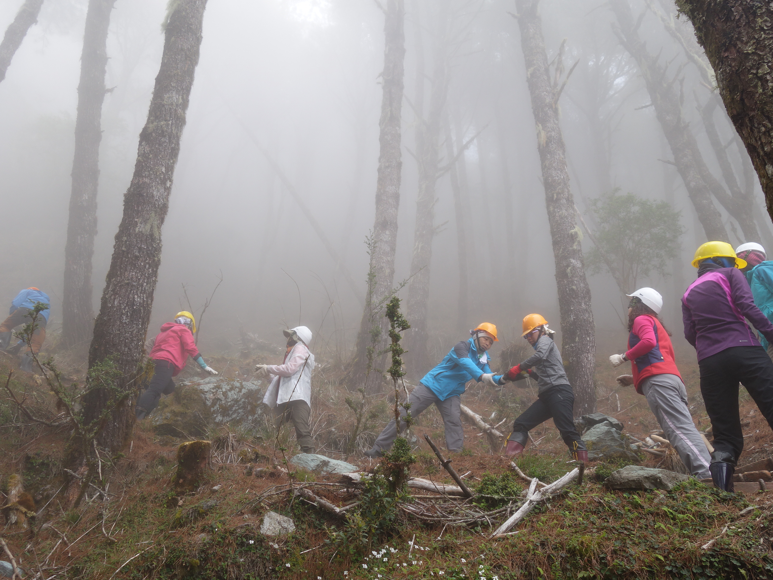 社團法人台灣千里步道協會(團體組特優獎)推動「手作步道」，以環境友善工法取代水泥工程，將傳統修路工藝結合志工服務與環境教育