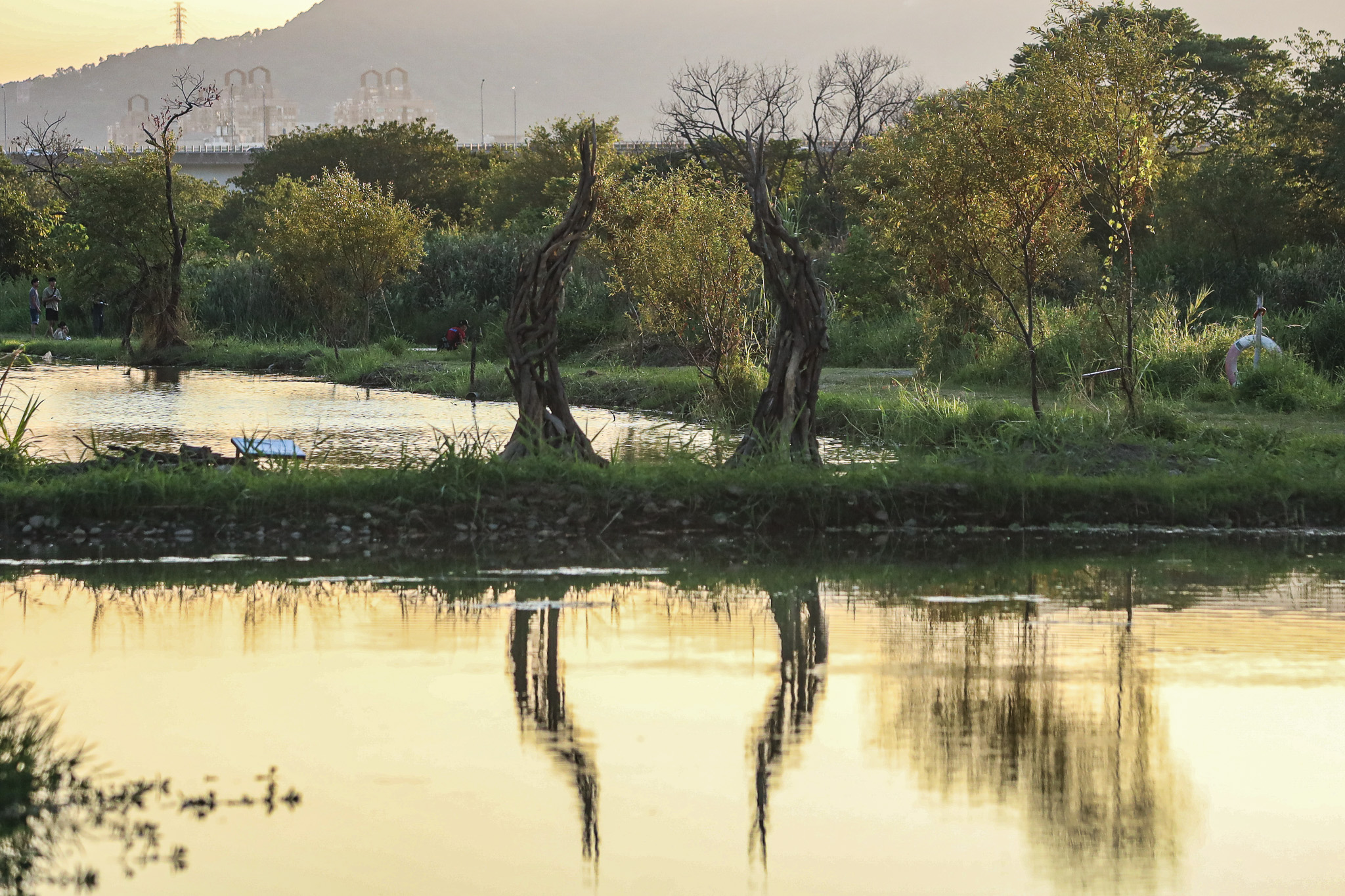  藝術家吳思儒創作 「景．觀」
