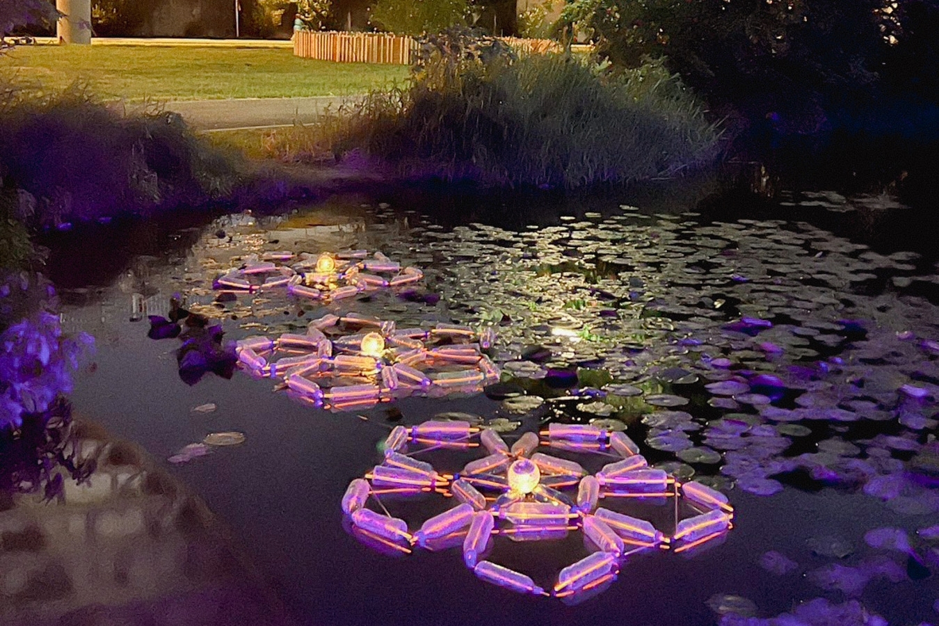 元智大學黃婉雯老師創作「植物的幾何學」