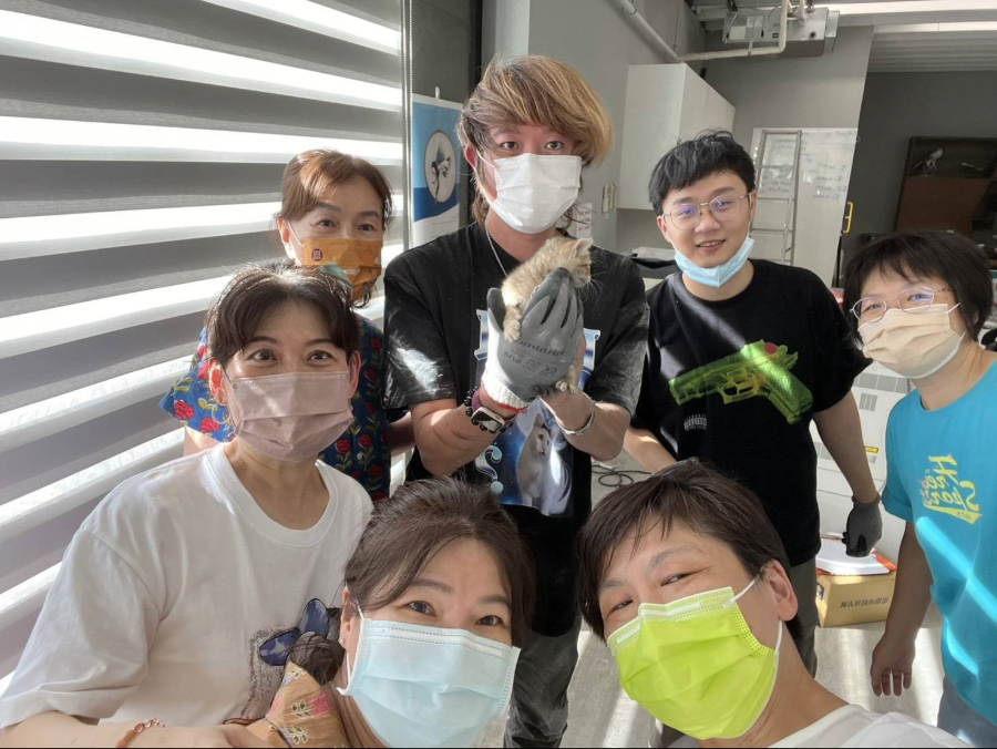 全體公司員工和動保員及小貓溫馨大合照