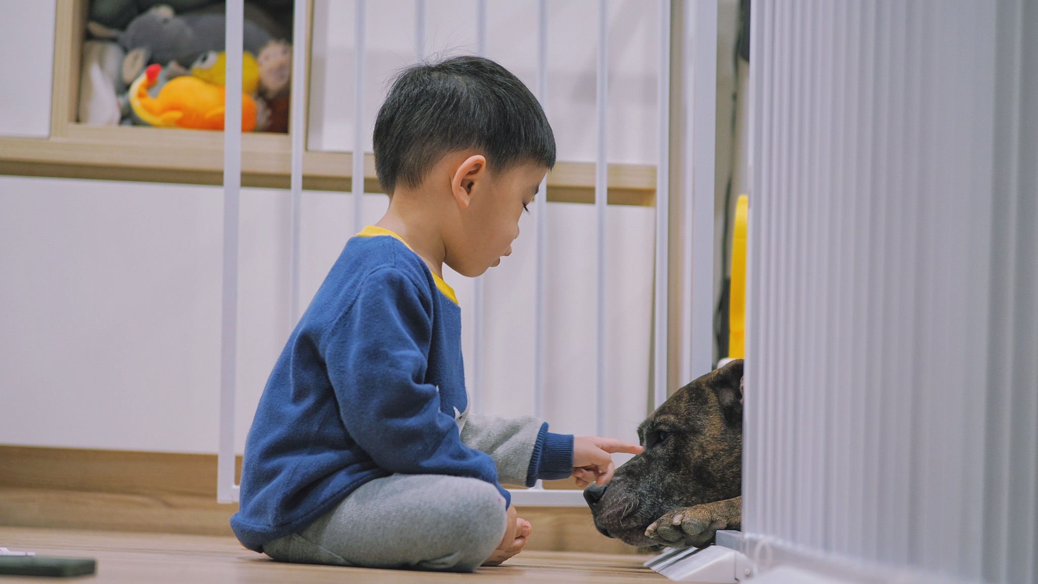  阿醜不在意飼主的小朋友觸摸牠。