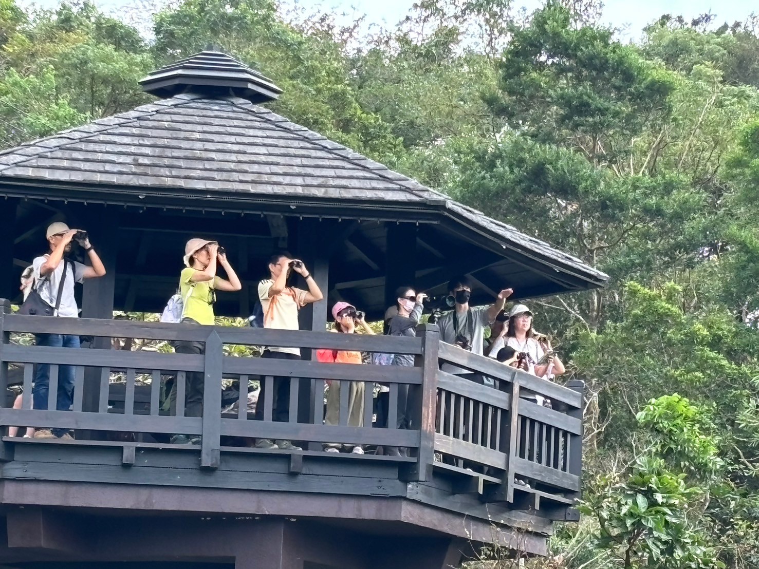 賞鳥活動應遵守不接觸、不餵食、不驚嚇的原則，以免對鳥類造成干擾