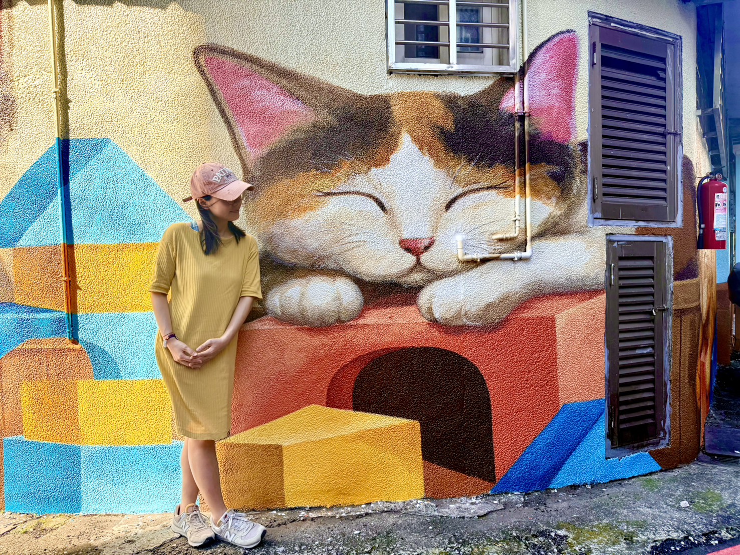 鄰近朱財華登山步道的後巷搖身一變成動物樂園【土城區清和里】