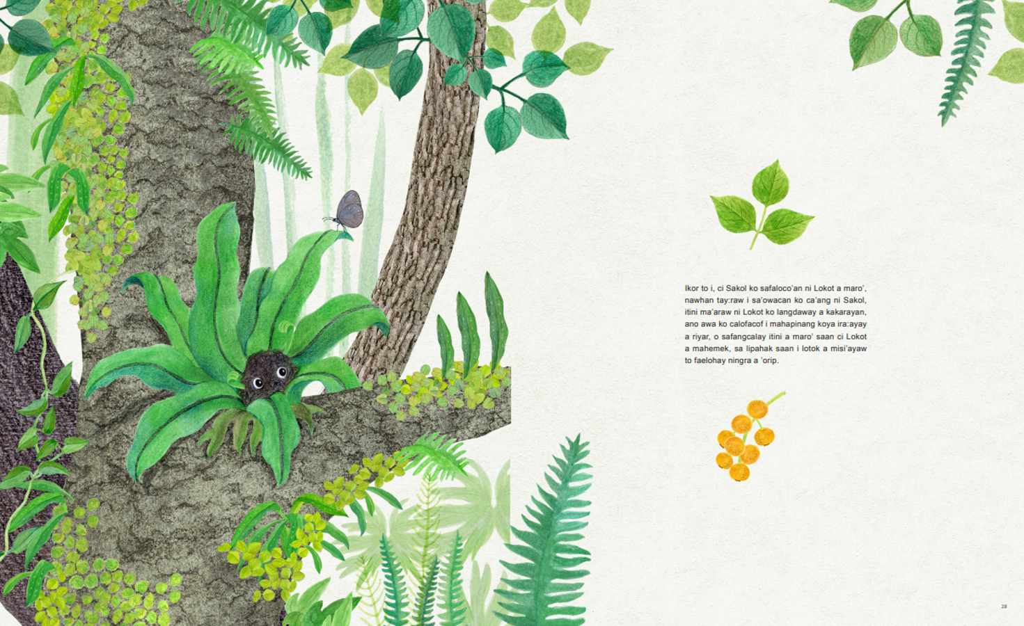 ▲繪本樹上的魚《Lokot 鳥巢蕨》海岸阿美語版內容。(圖/新北市政府原民局提供)