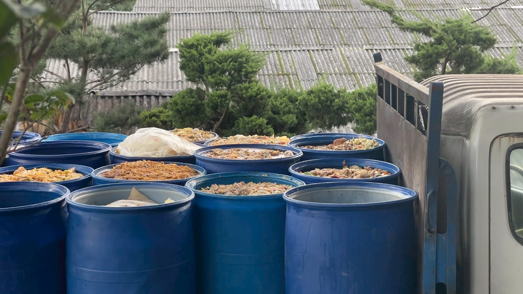 經新北市動保處人員攔車檢視廚餘車載有２８桶廚餘