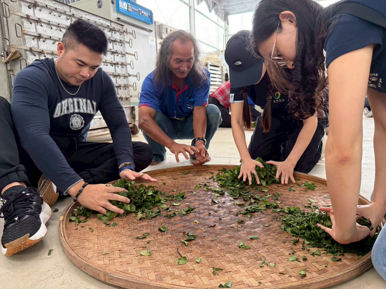 金寶電子企業同仁一起學揉茶