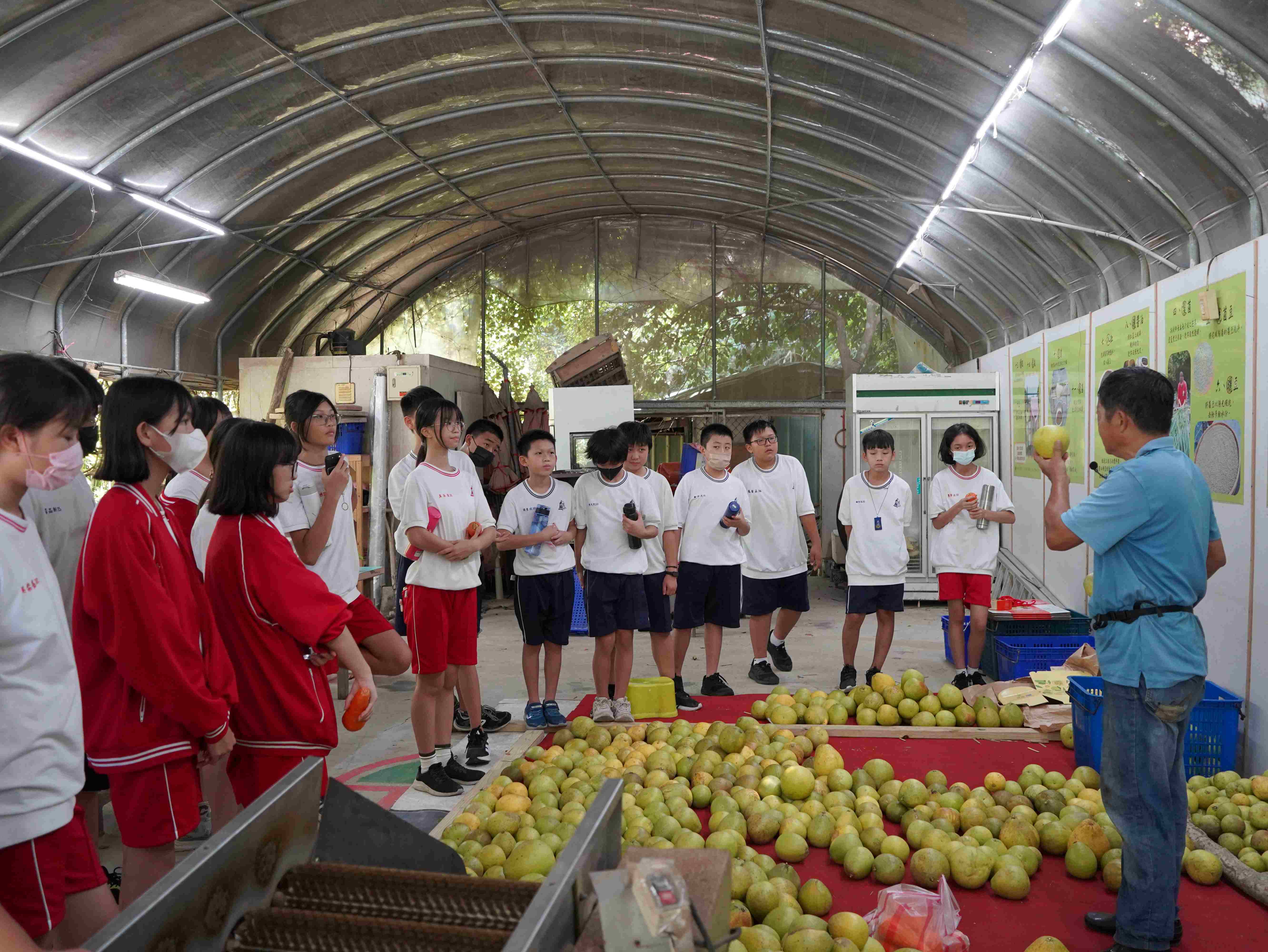 桃樂絲農場的柚香四溢的秘密花園教案實作